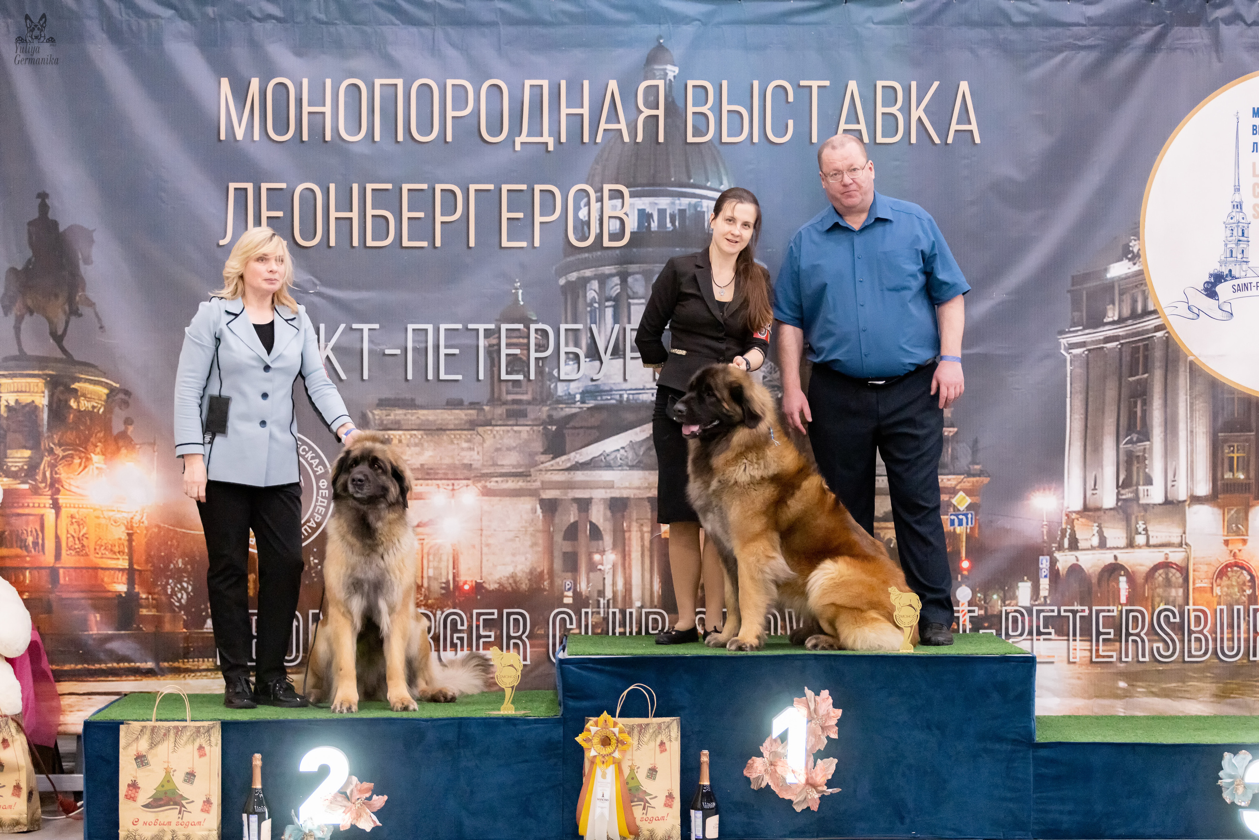 Питер 17-18.12.2022. Фотограф-анималист Юлия Германика