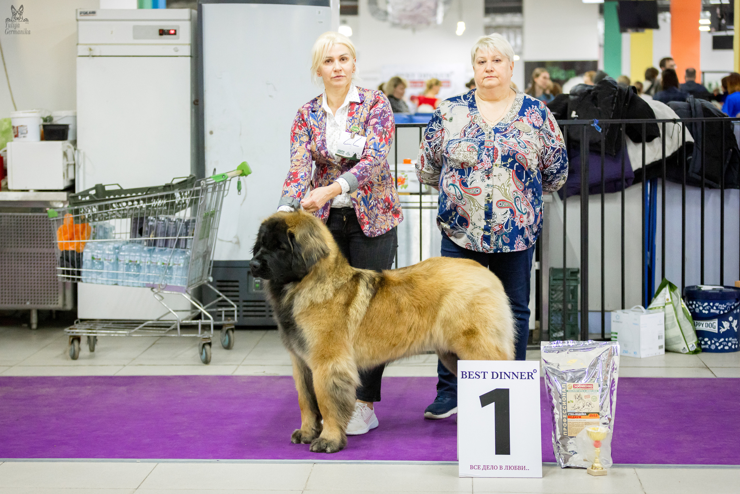 Чайна-Таун 5-8.01.2023. Фотограф-анималист Юлия Германика