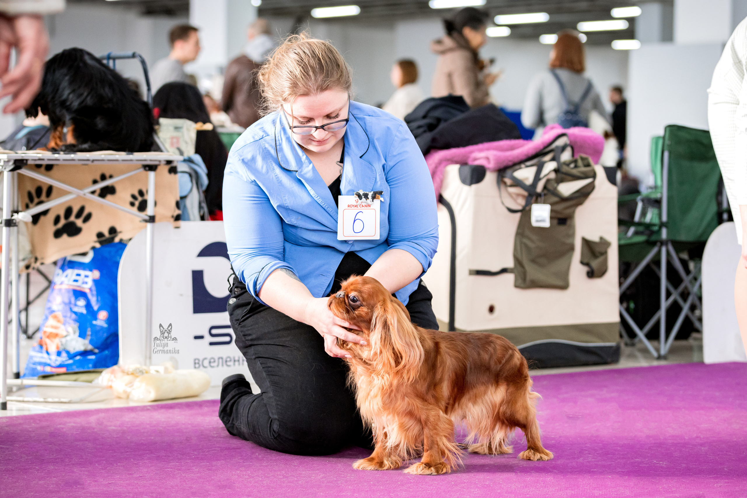 Можайский двор 11-12.02.2023. Фотограф-анималист Юлия Германика
