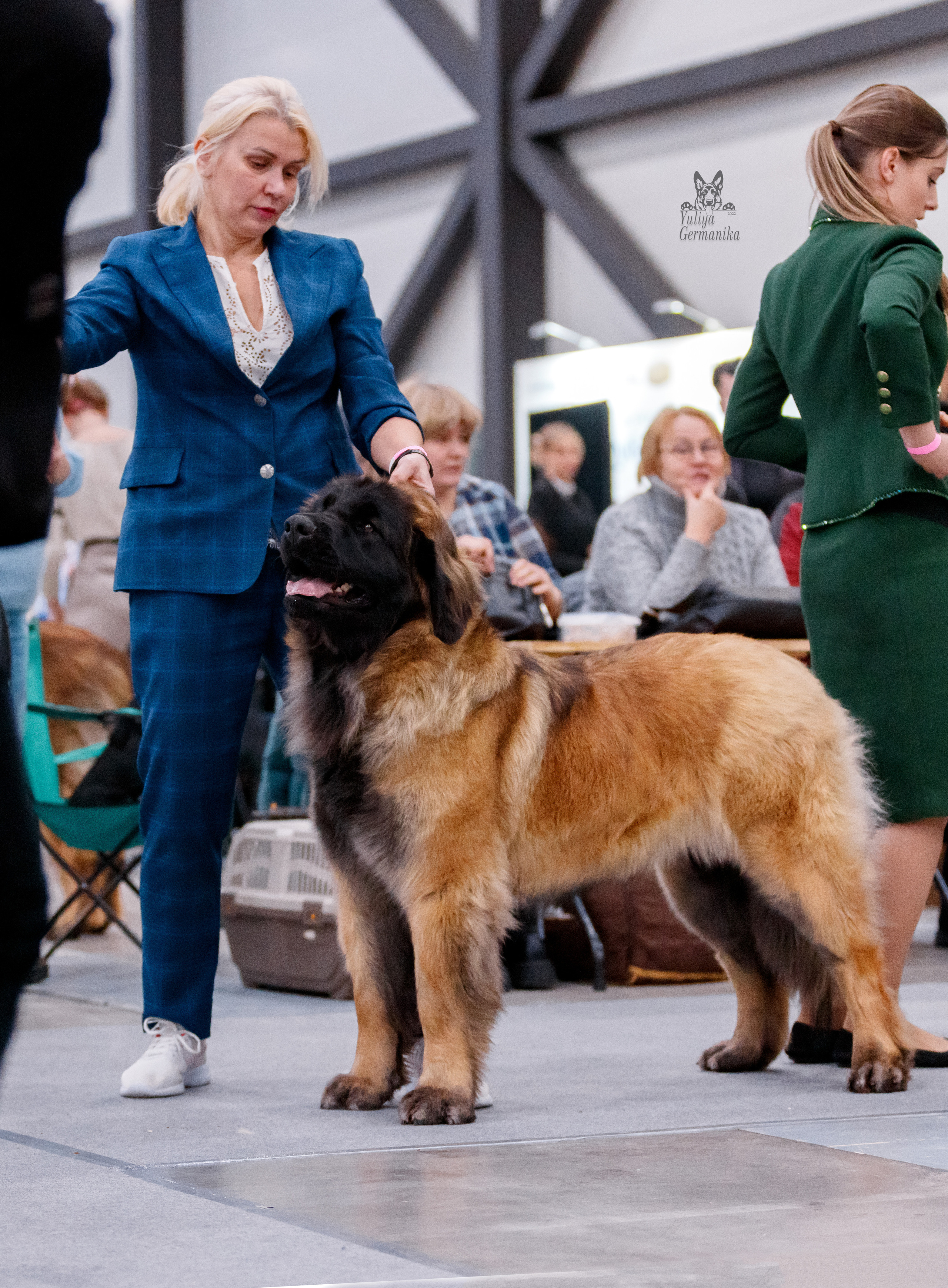 Питер 17-18.12.2022. Фотограф-анималист Юлия Германика