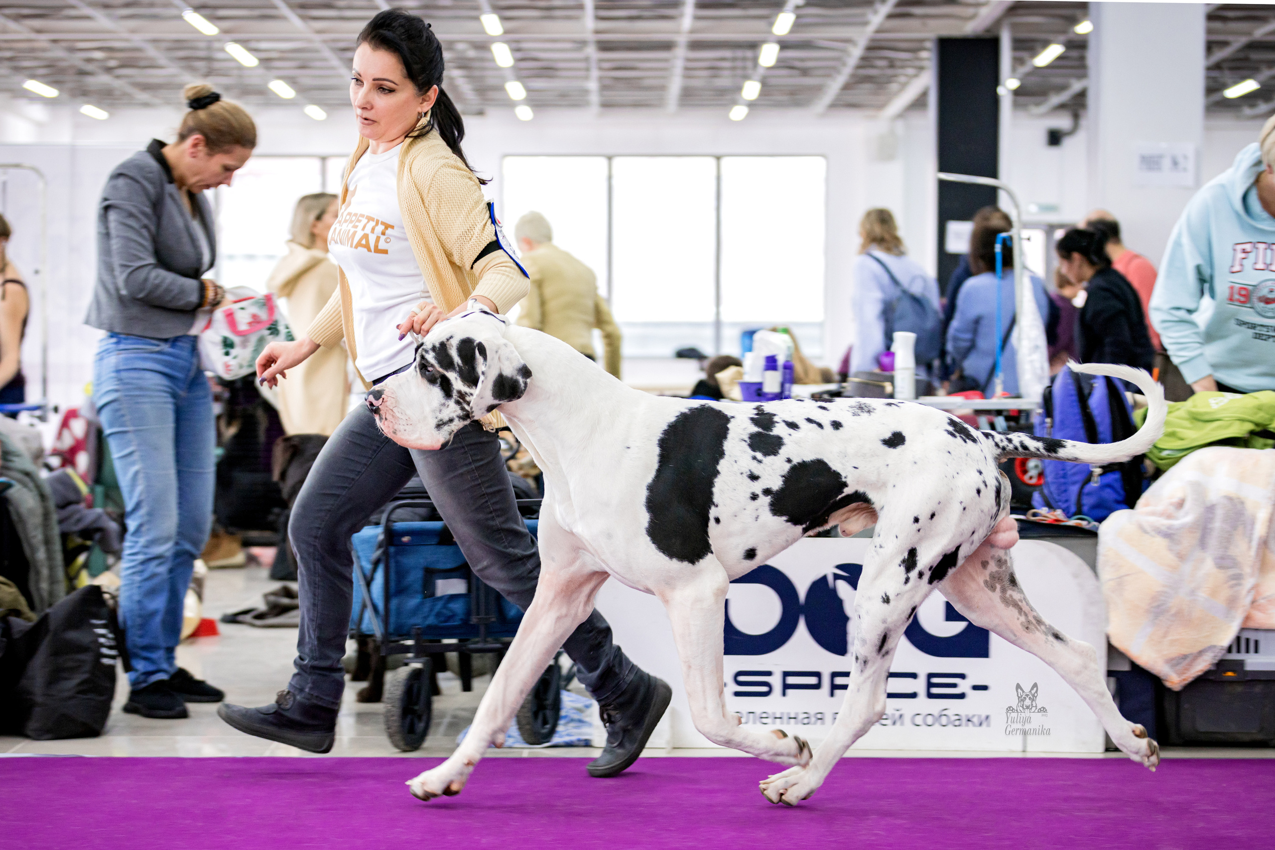 Можайский двор 11-12.02.2023. Фотограф-анималист Юлия Германика