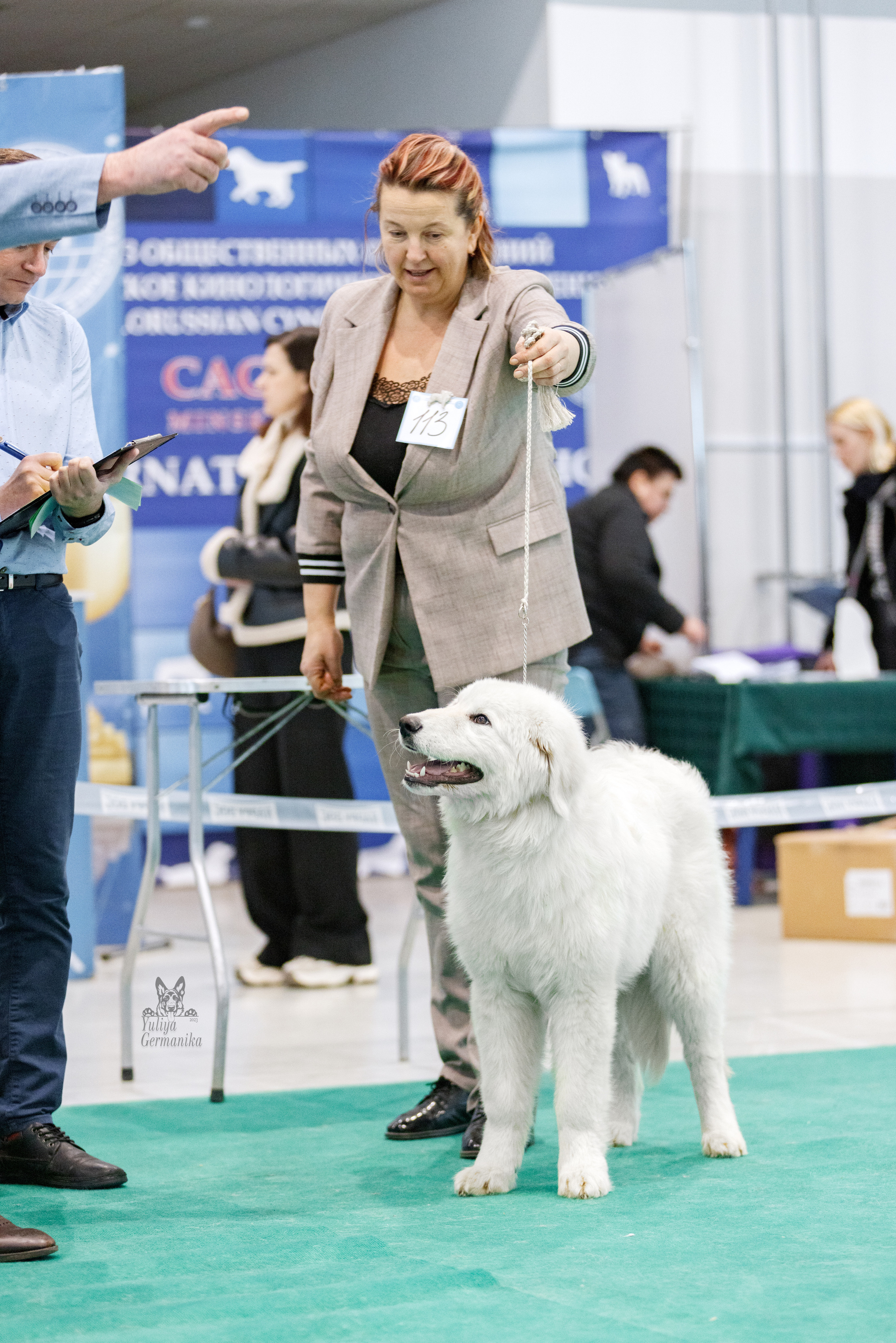 Минск 25-26.02.2023. Фотограф-анималист Юлия Германика