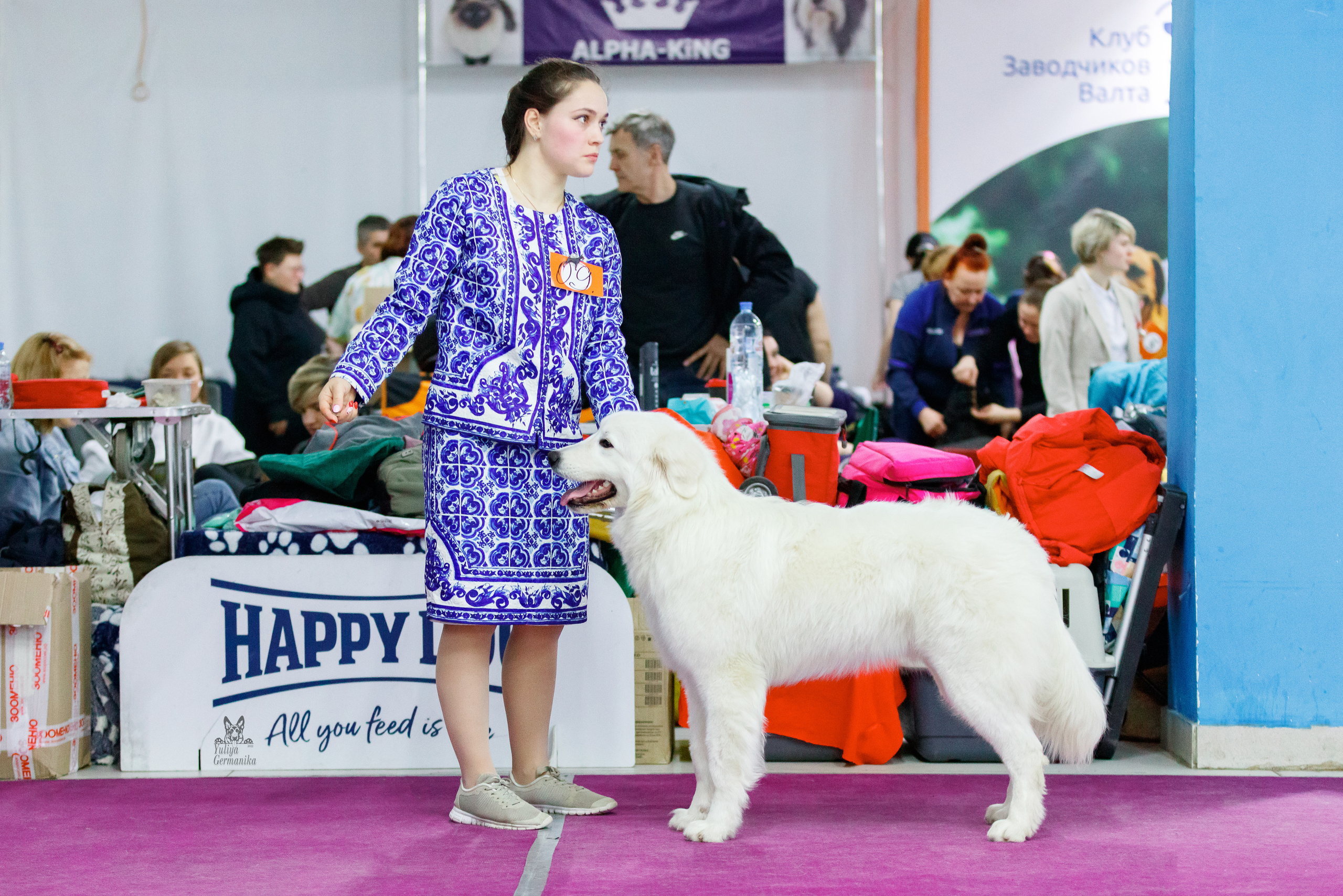 Чайна-Таун 24-25.12.2022. Фотограф-анималист Юлия Германика