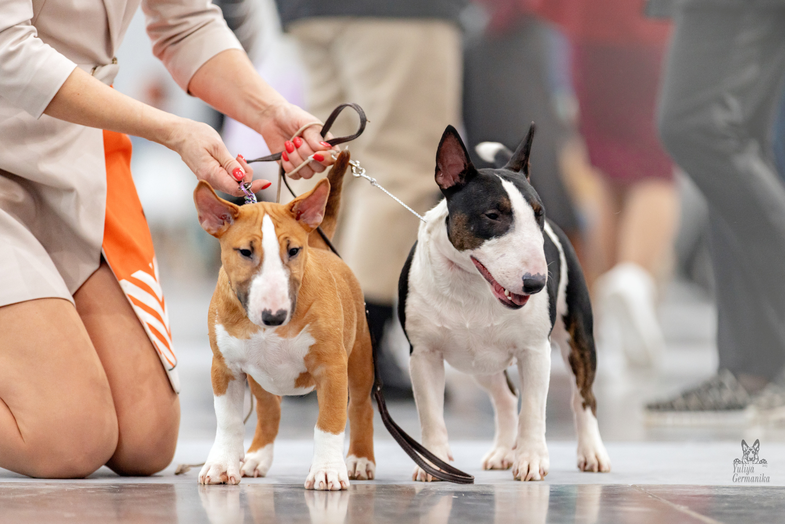 Сабанеевка,Казань 28-29.01.2023. Фотограф-анималист Юлия Германика