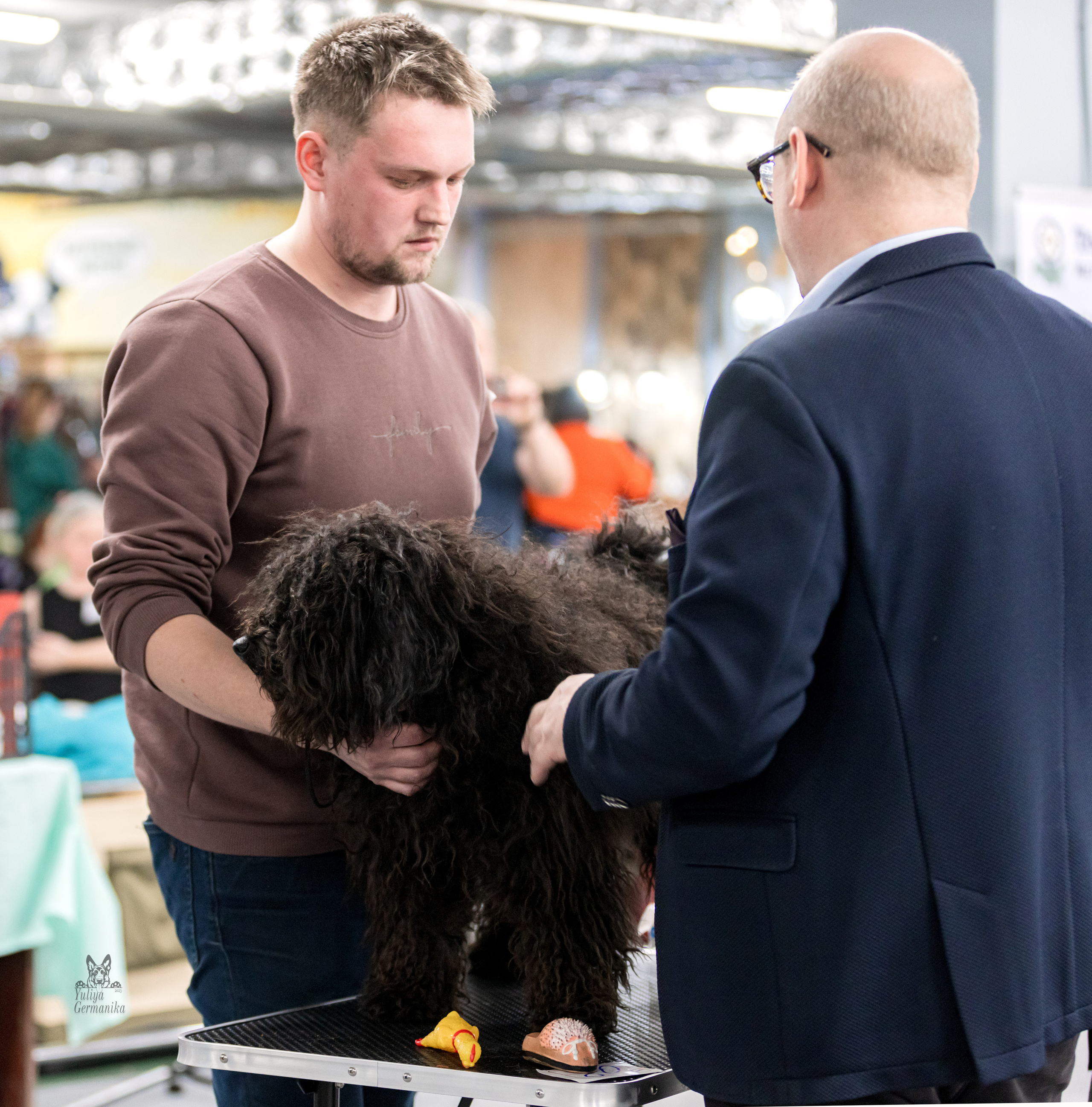 Сфера 5.03.2023. Фотограф-анималист Юлия Германика