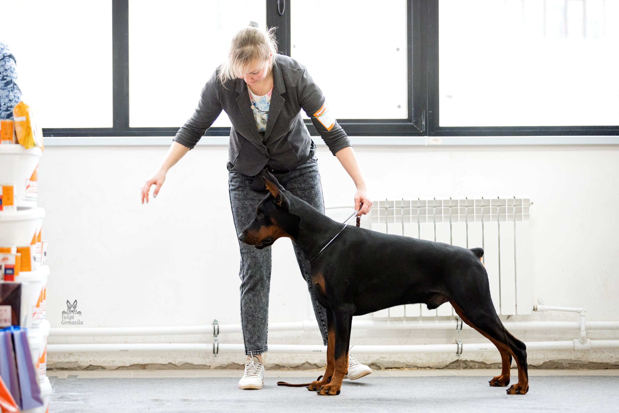 Тверь 19.02.2023. Фотограф-анималист Юлия Германика