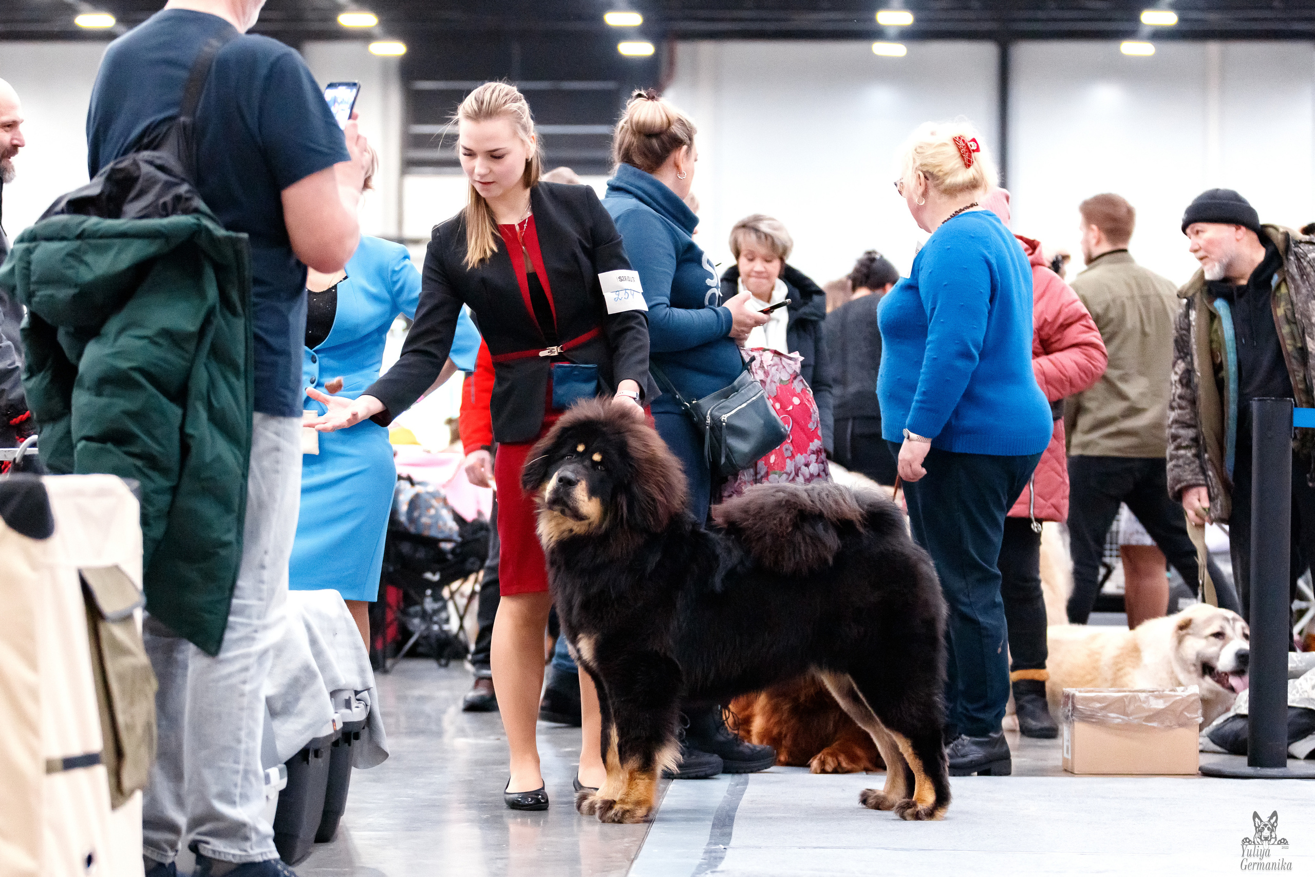 Питер 17-18.12.2022. Фотограф-анималист Юлия Германика