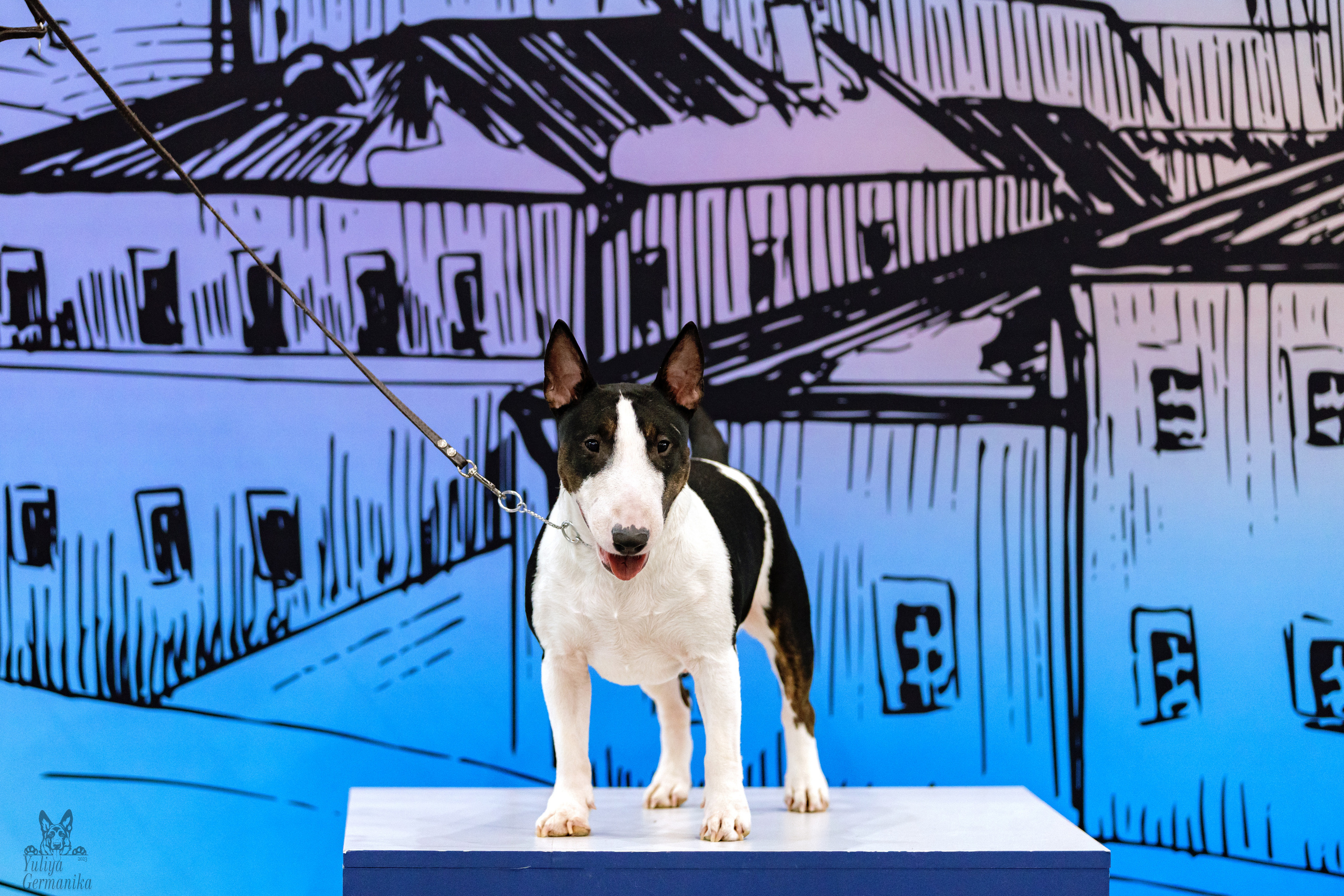 Сабанеевка,Казань 28-29.01.2023. Фотограф-анималист Юлия Германика