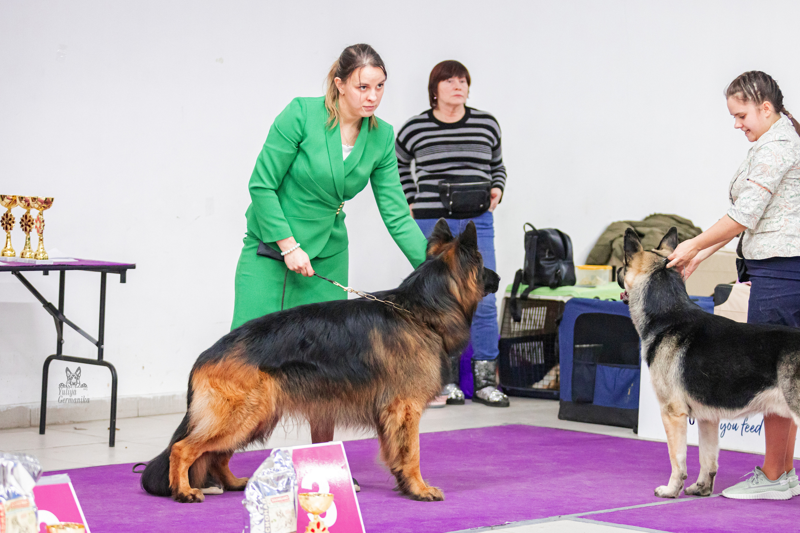 Чайна-Таун 15,21 и 22.01.2023. Фотограф-анималист Юлия Германика