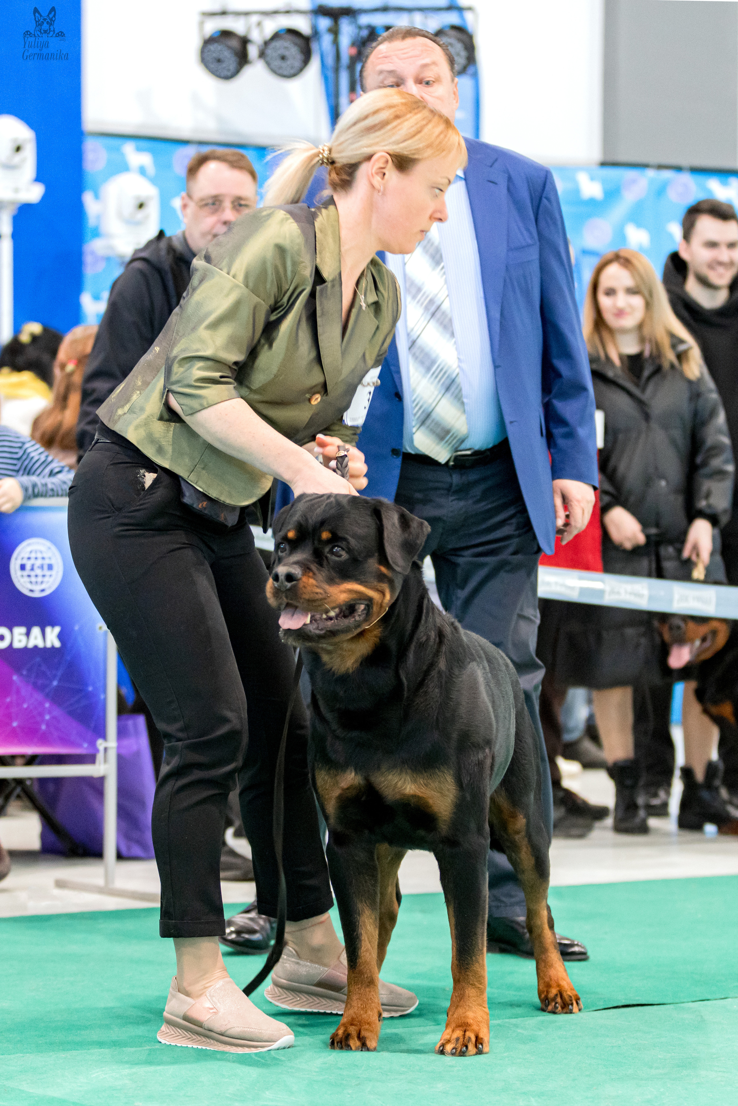 Минск 25-26.02.2023. Фотограф-анималист Юлия Германика