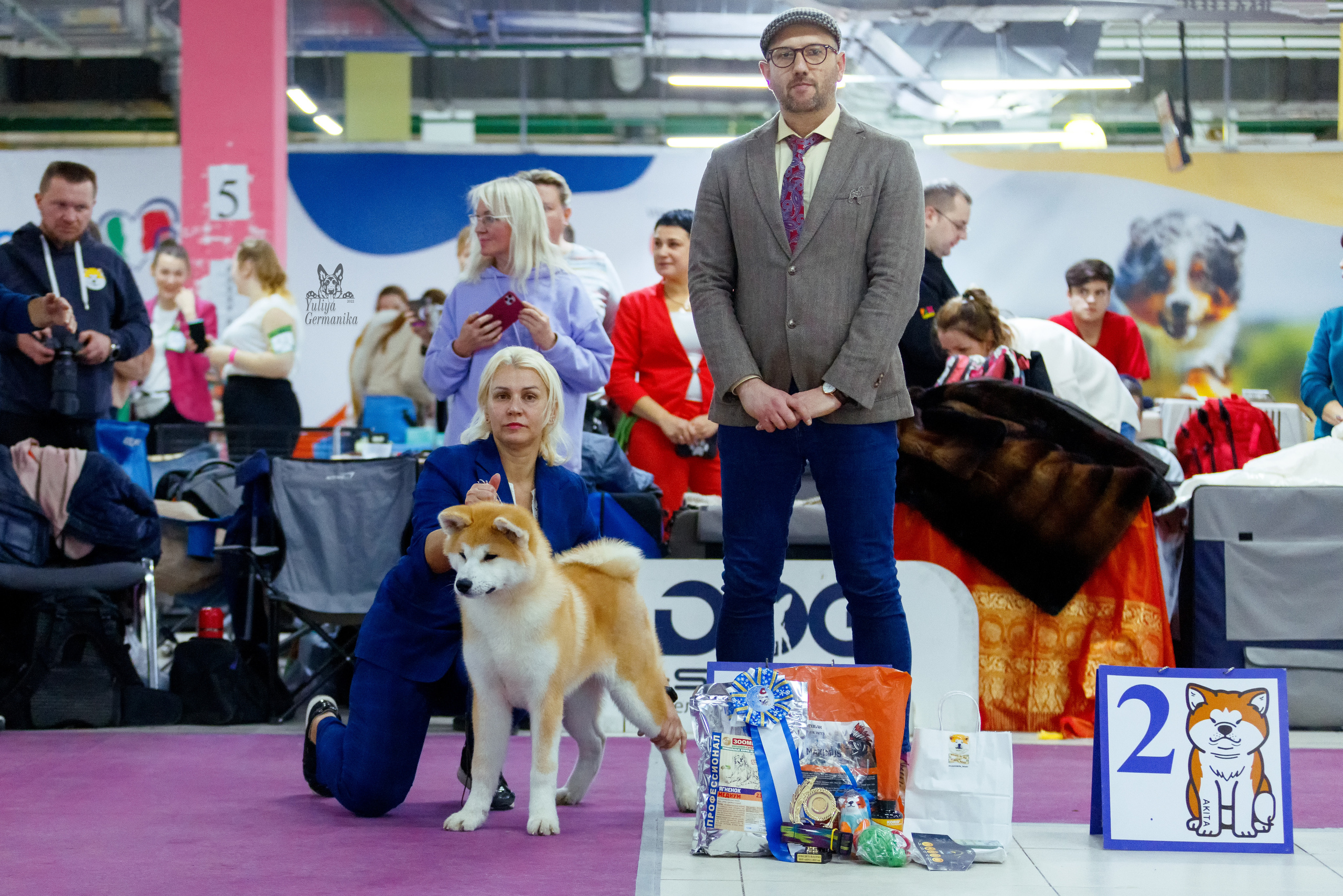 Чайна-Таун 3 и 10.12.2022. Фотограф-анималист Юлия Германика