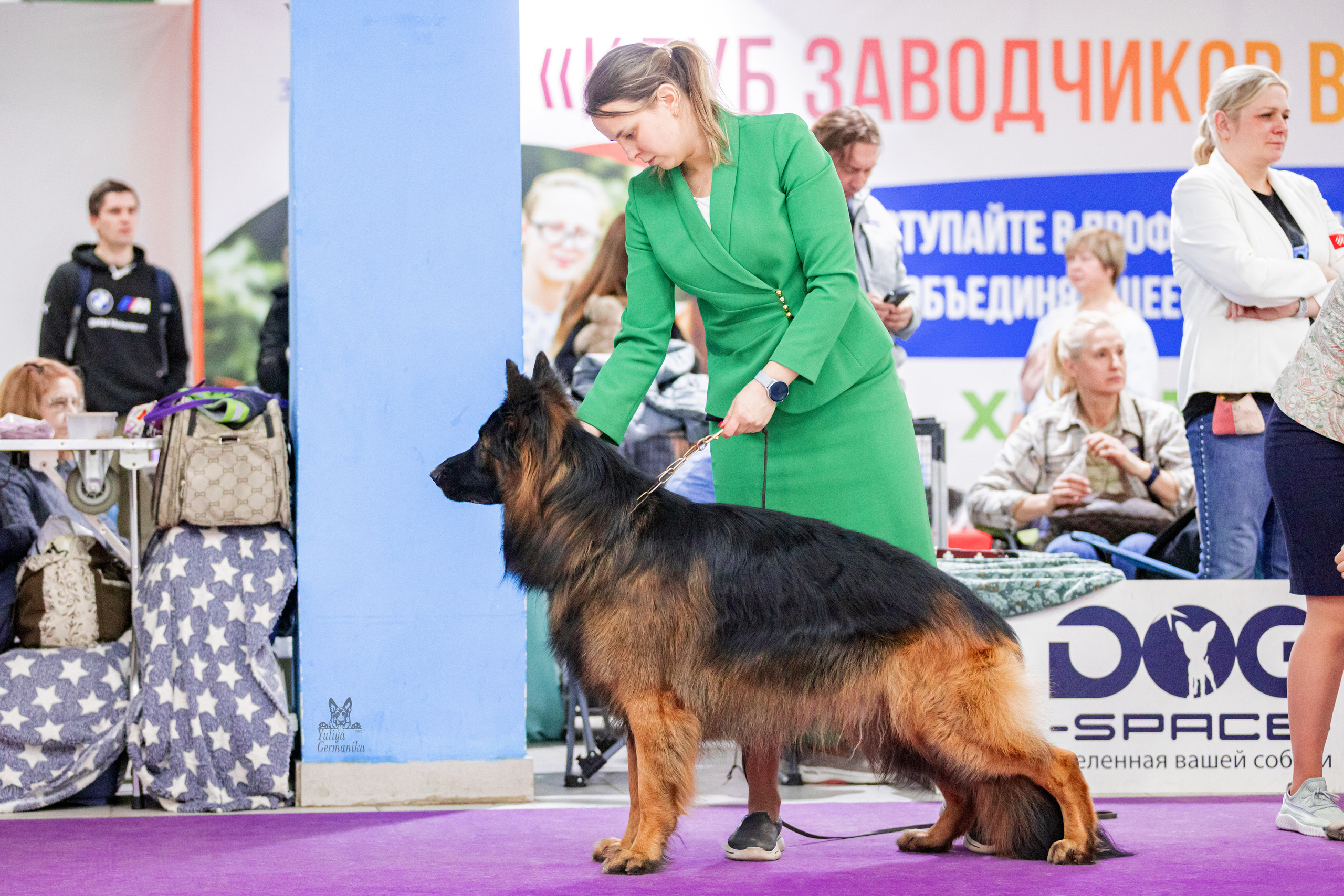 Чайна-Таун 15,21 и 22.01.2023. Фотограф-анималист Юлия Германика