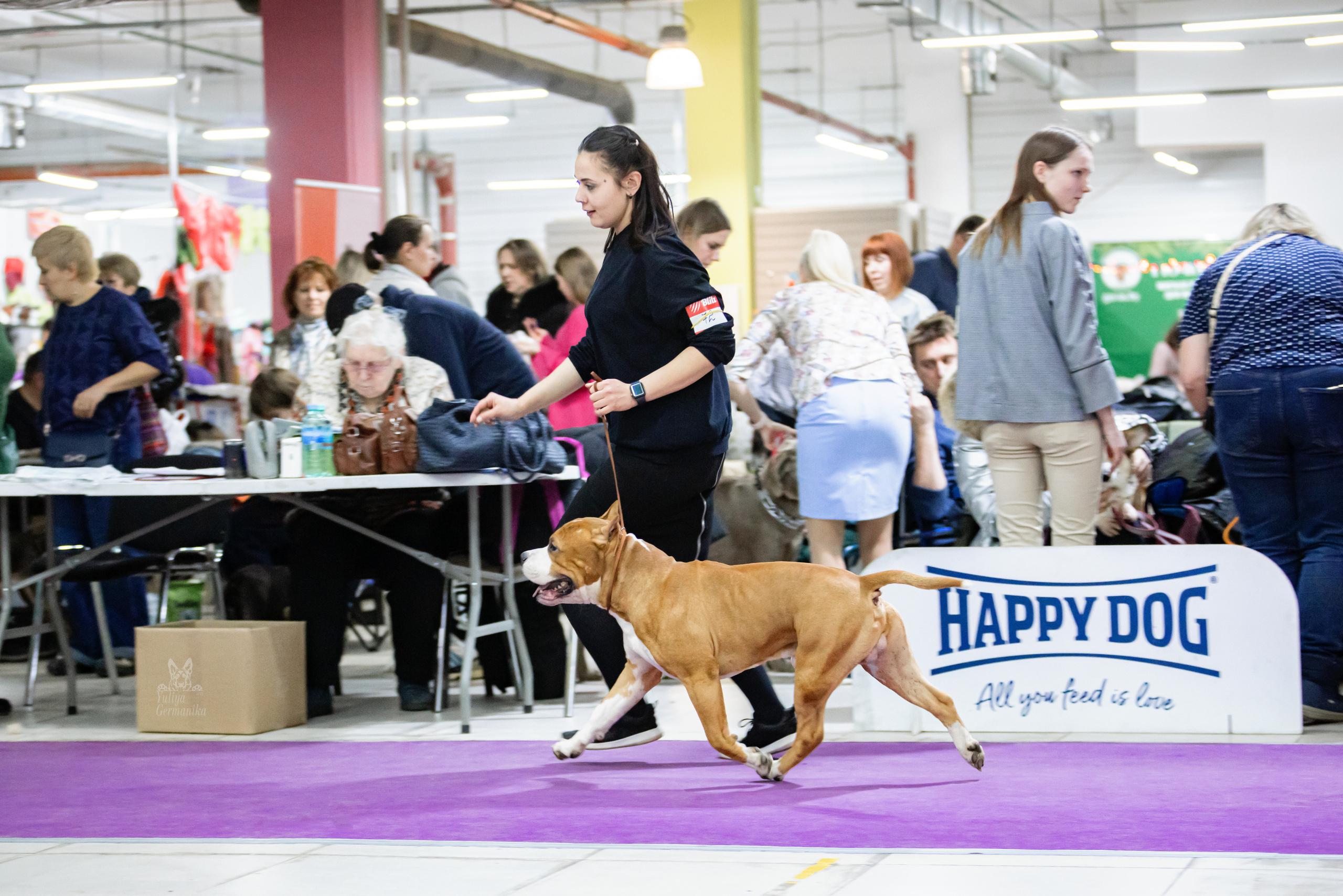 Чайна-Таун 15,21 и 22.01.2023. Фотограф-анималист Юлия Германика