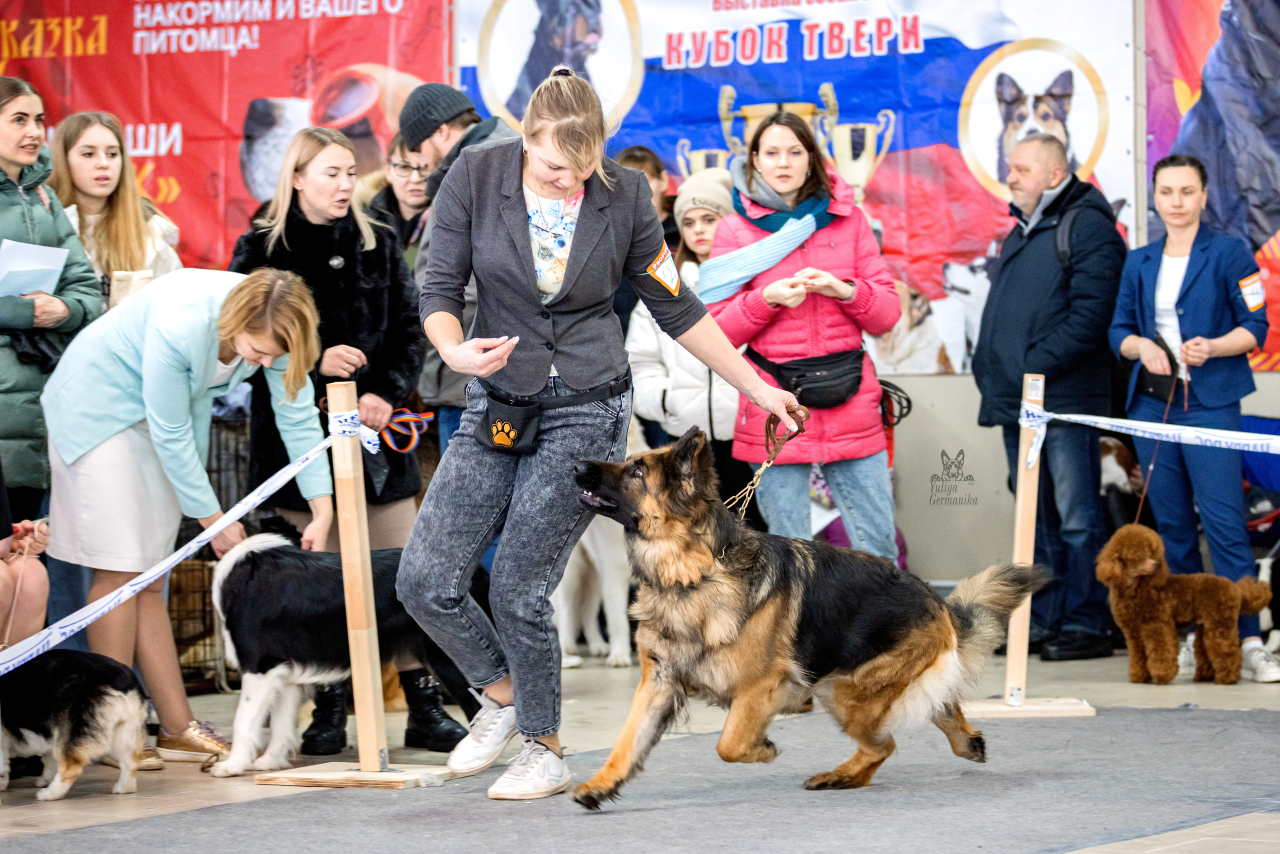 Тверь 19.02.2023. Фотограф-анималист Юлия Германика
