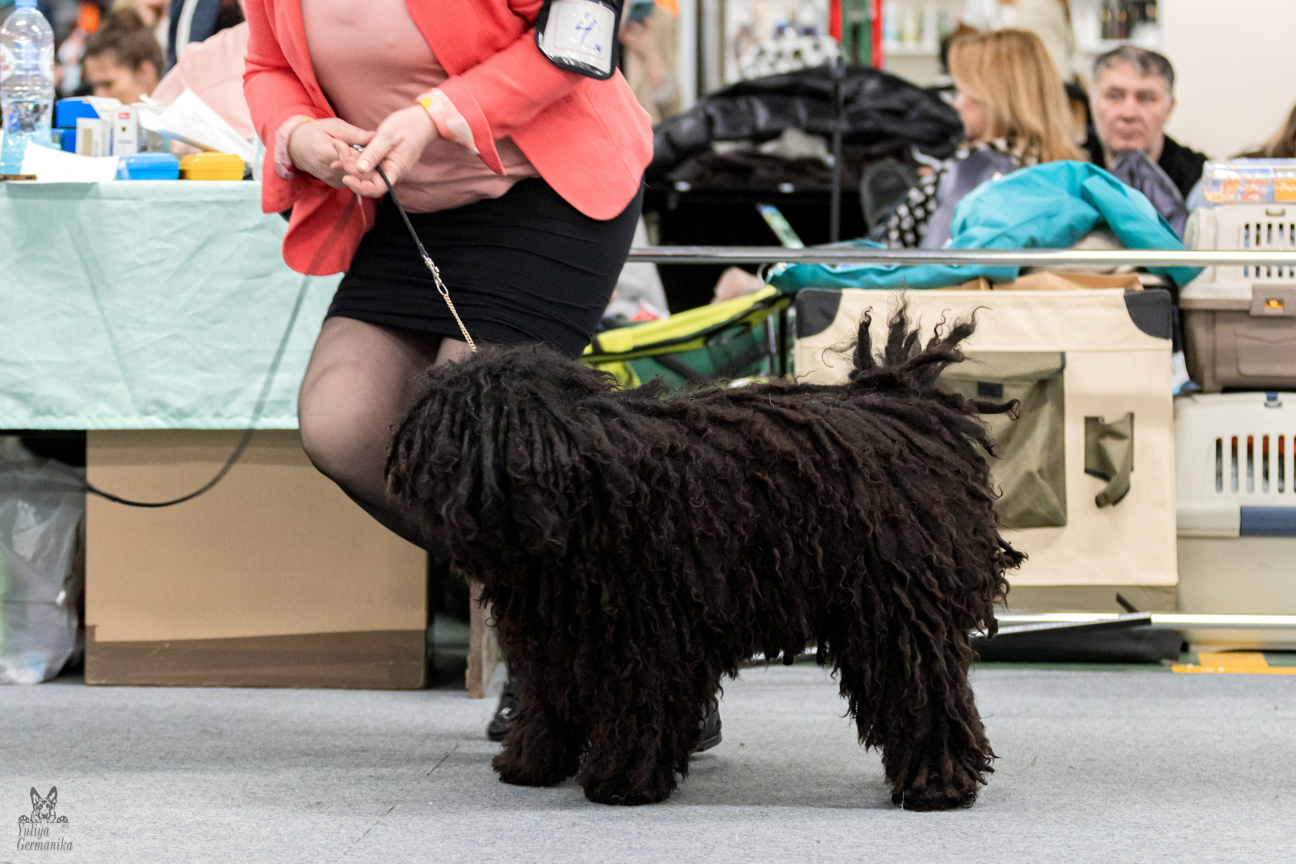 Сфера 5.03.2023. Фотограф-анималист Юлия Германика