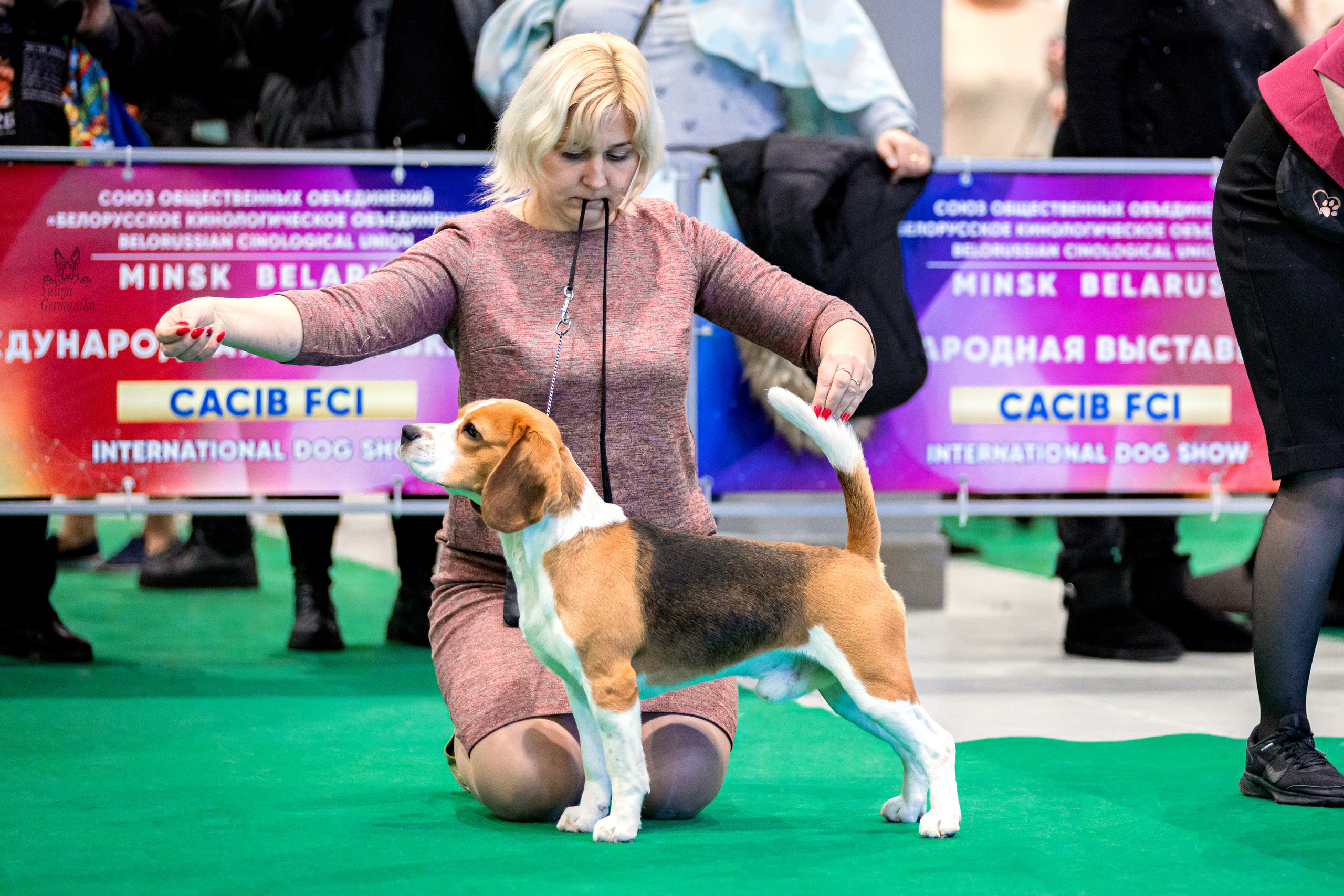 Минск 25-26.02.2023. Фотограф-анималист Юлия Германика