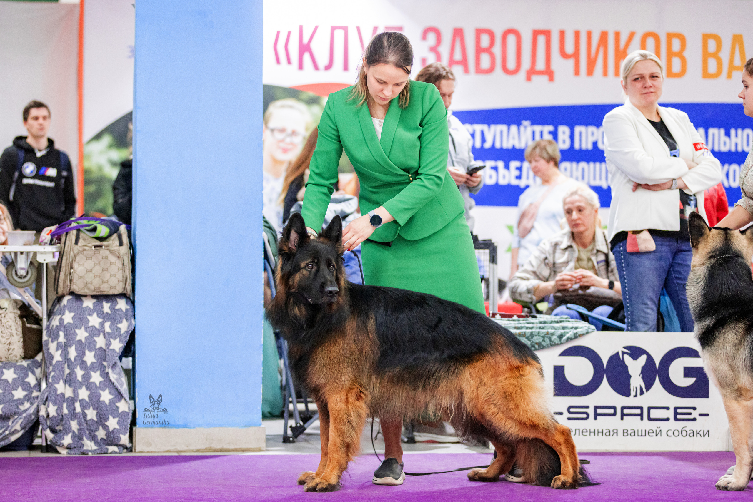 Чайна-Таун 15,21 и 22.01.2023. Фотограф-анималист Юлия Германика