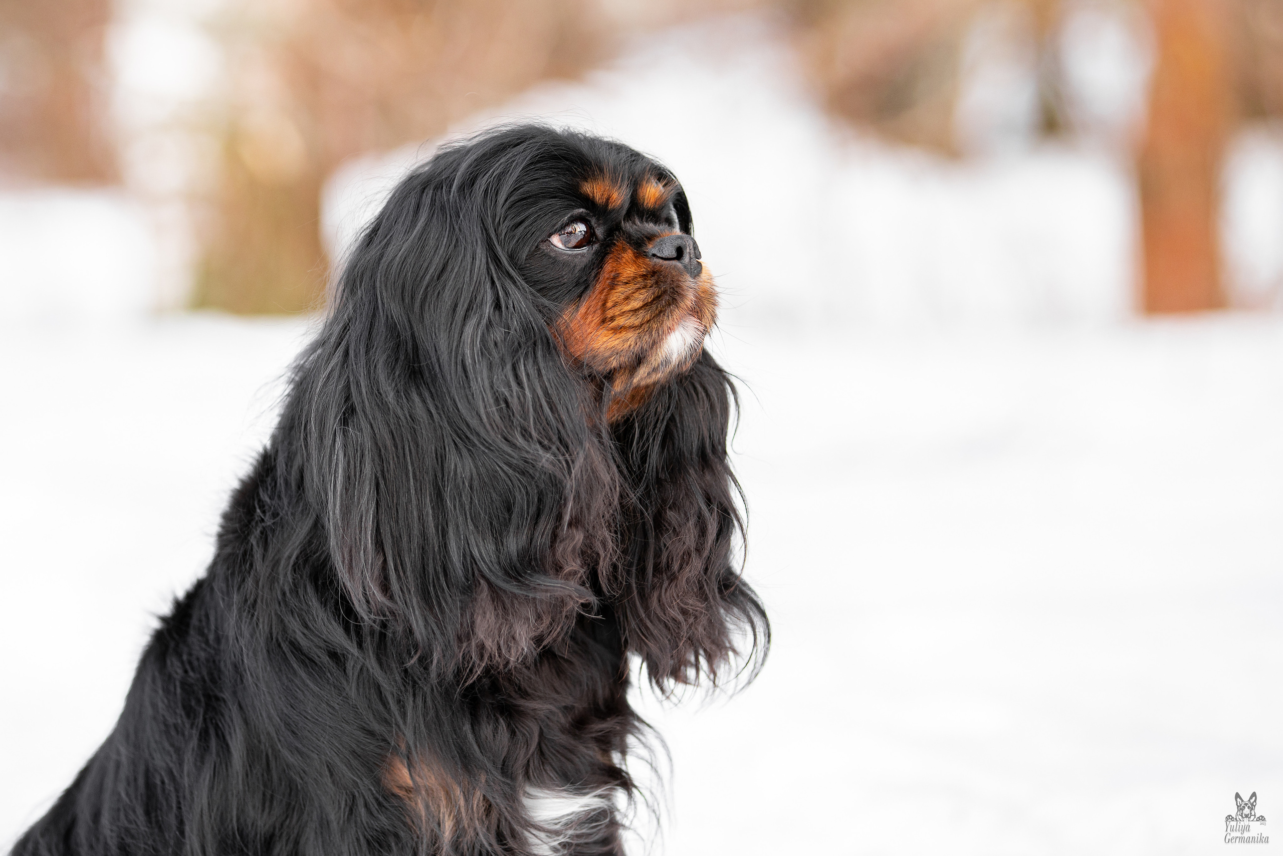 Тверь 19.03.2023. Фотограф-анималист Юлия Германика
