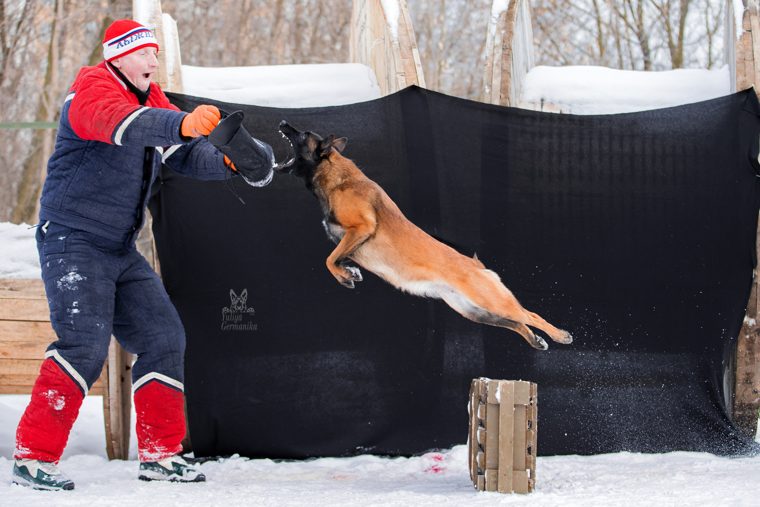 Свободная съемка. Фотограф-анималист Юлия Германика