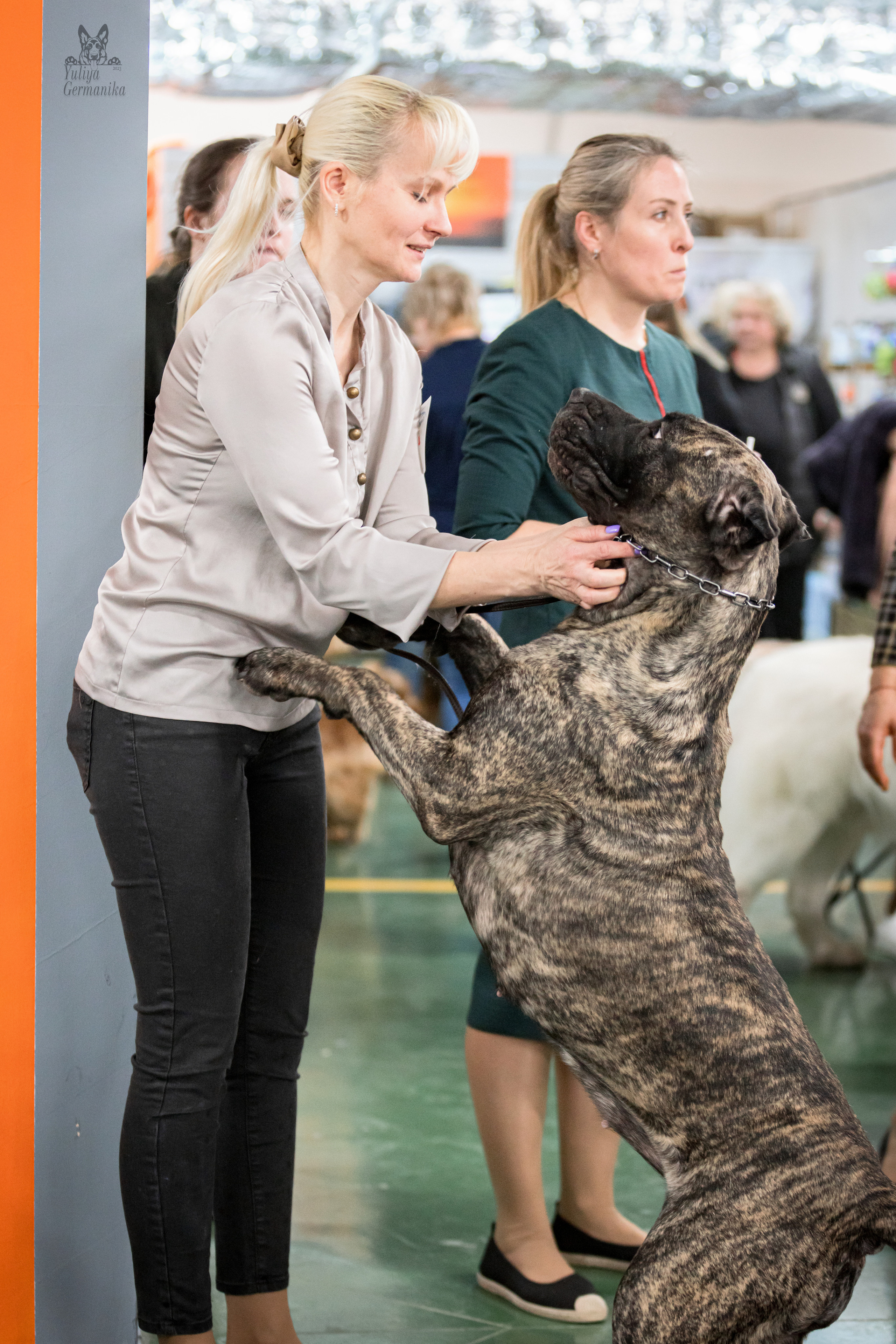 Сфера 23.02.2023. Фотограф-анималист Юлия Германика