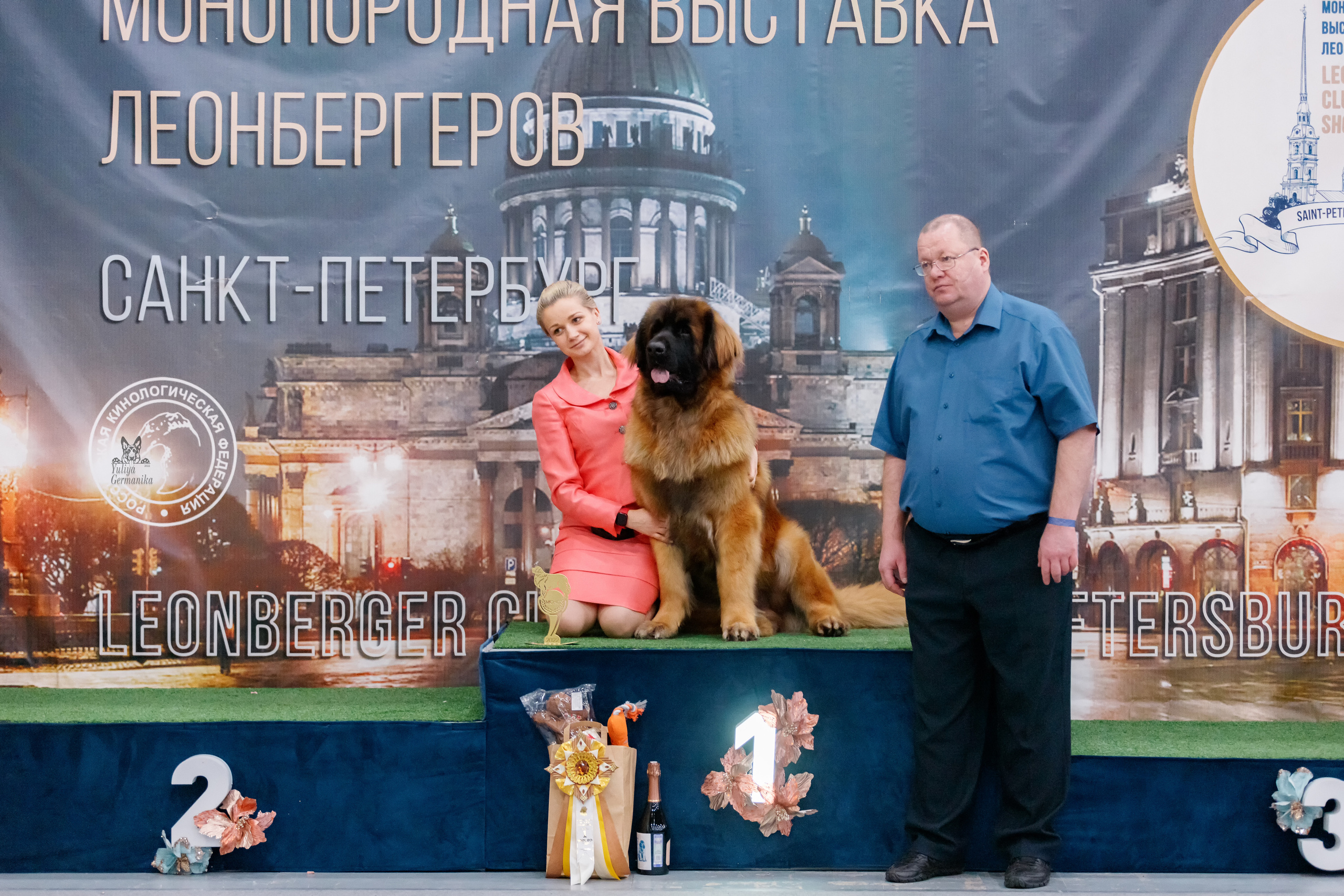 Питер 17-18.12.2022. Фотограф-анималист Юлия Германика