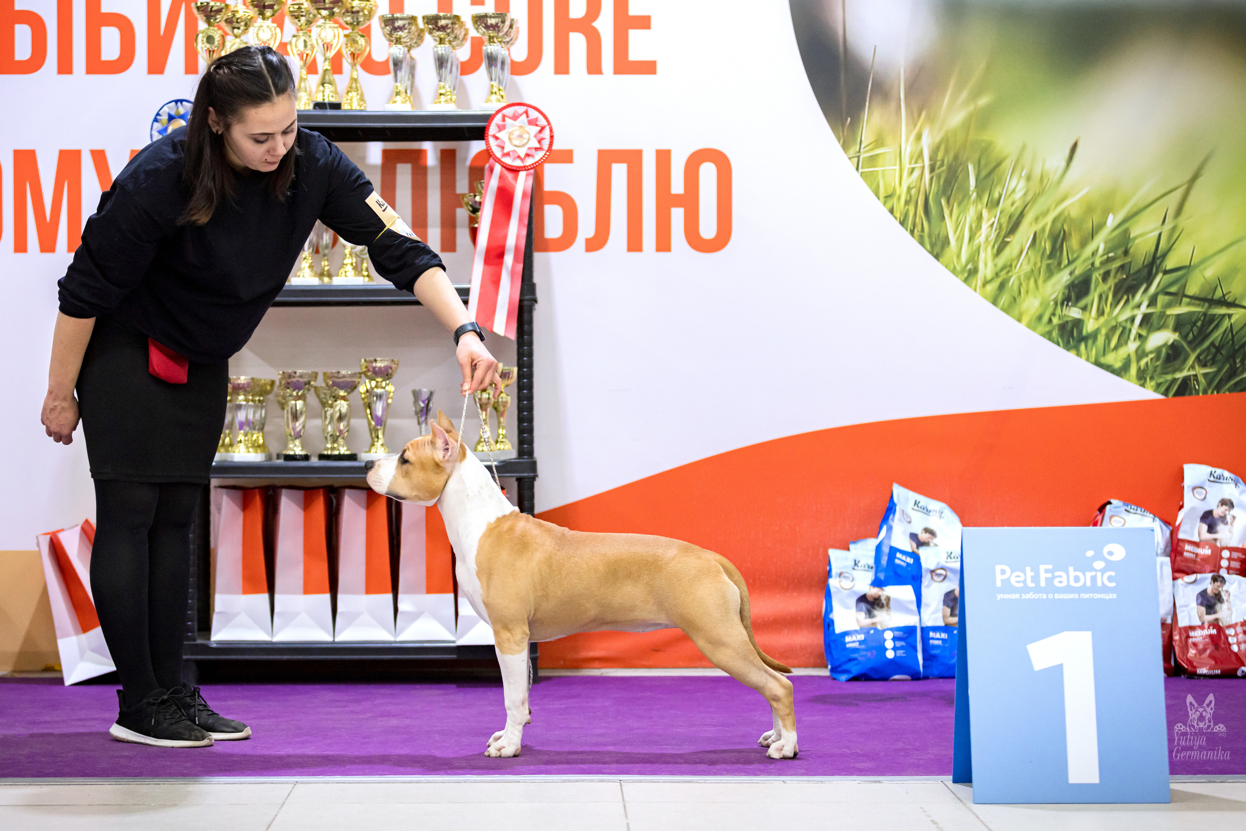 Чайна-Таун 15,21 и 22.01.2023. Фотограф-анималист Юлия Германика