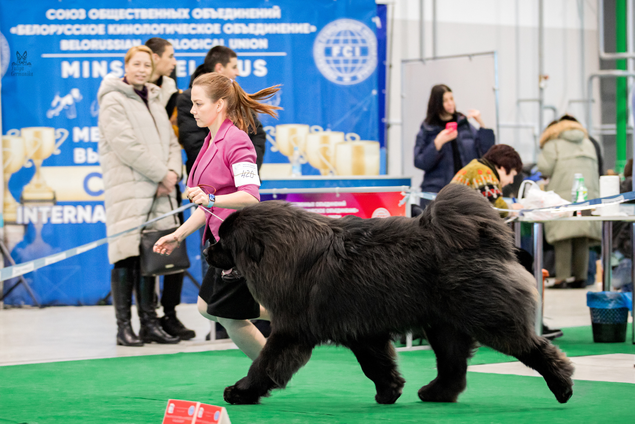 Минск 25-26.02.2023. Фотограф-анималист Юлия Германика