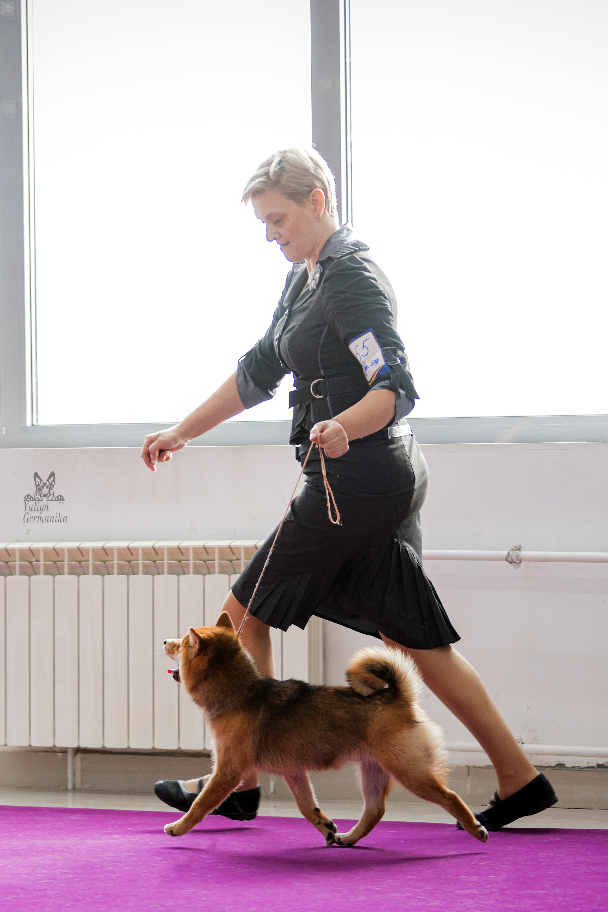 Можайский двор 18.02.2023. Фотограф-анималист Юлия Германика