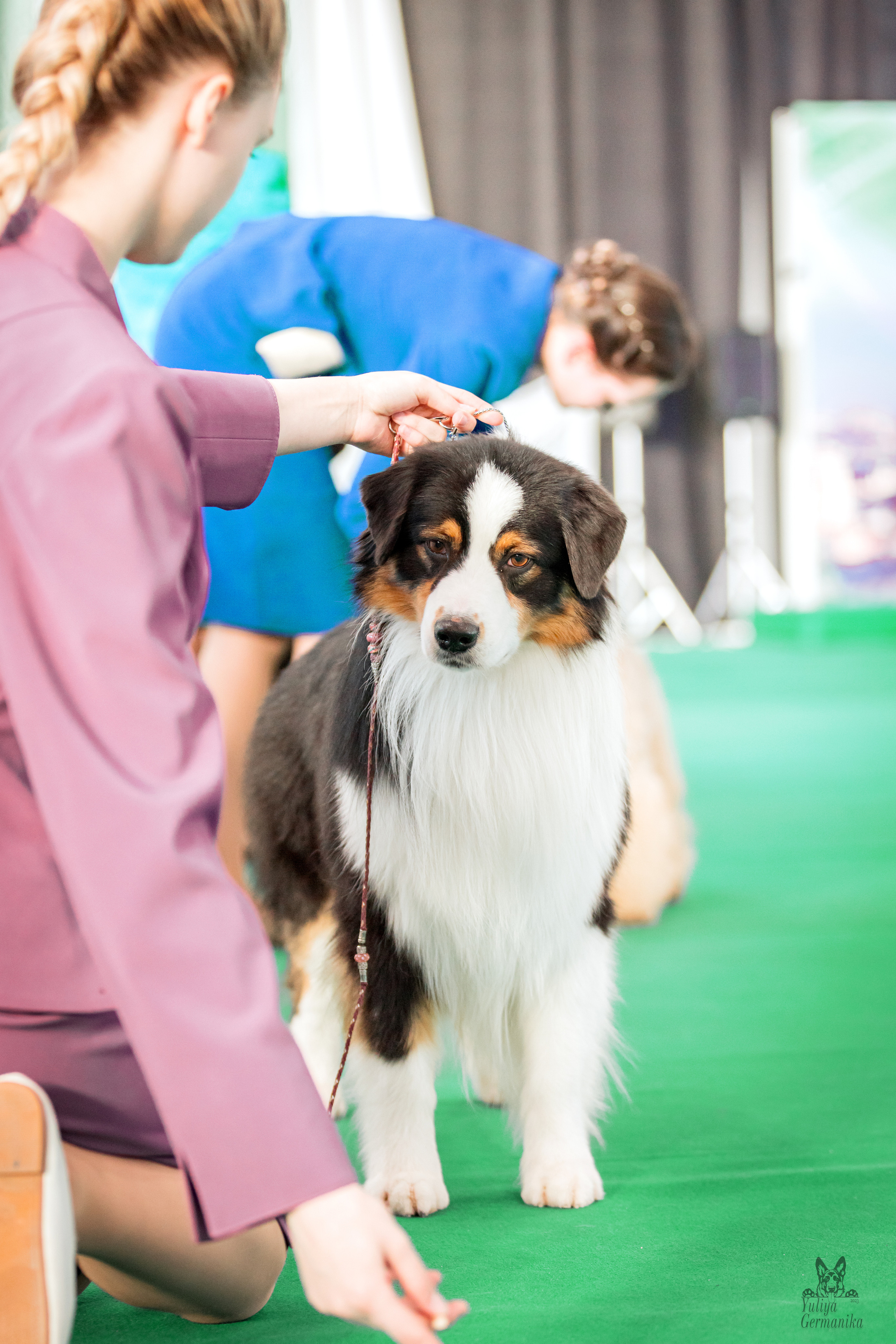 Казань 11.03.2023. Фотограф-анималист Юлия Германика