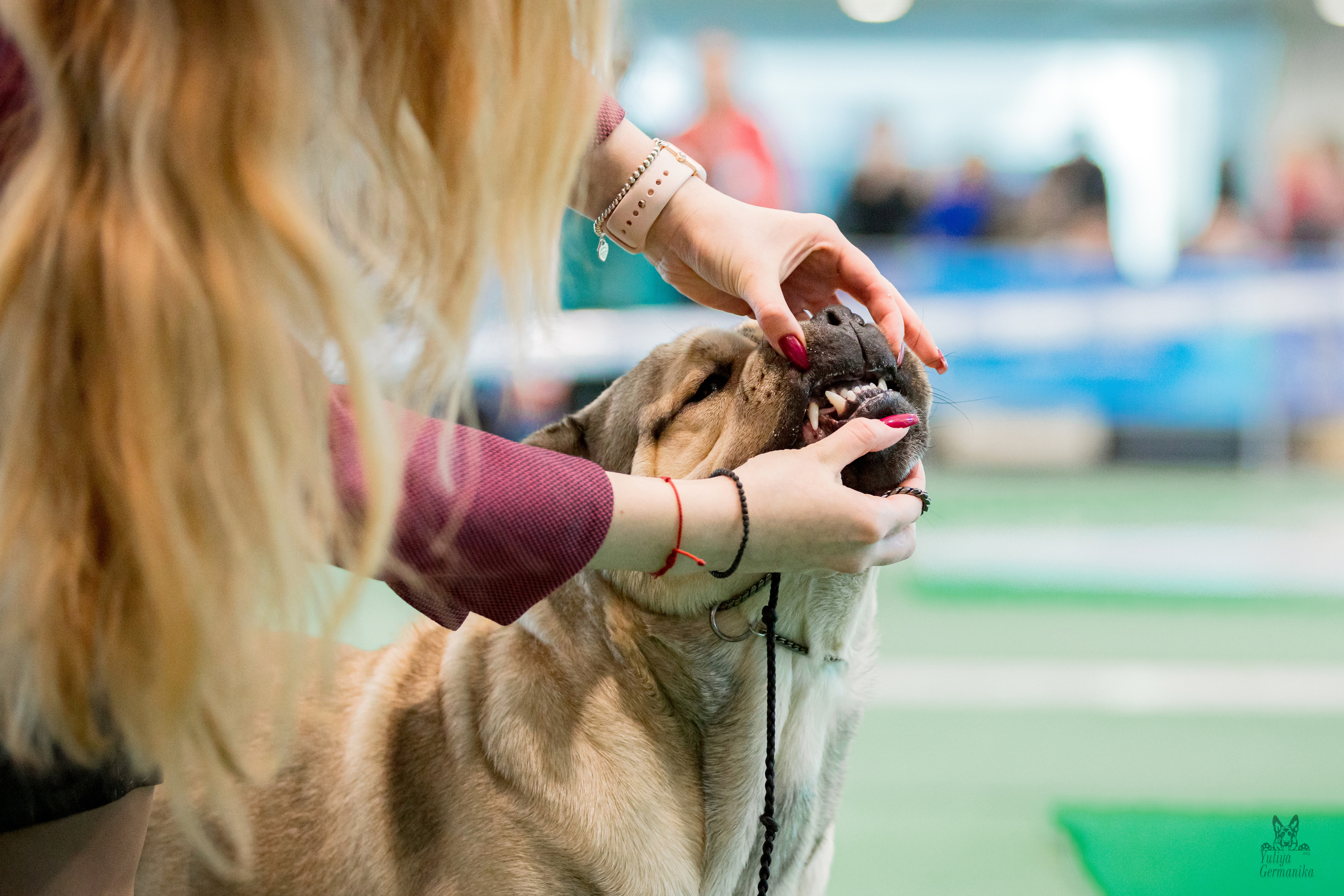 Минск 25-26.02.2023. Фотограф-анималист Юлия Германика