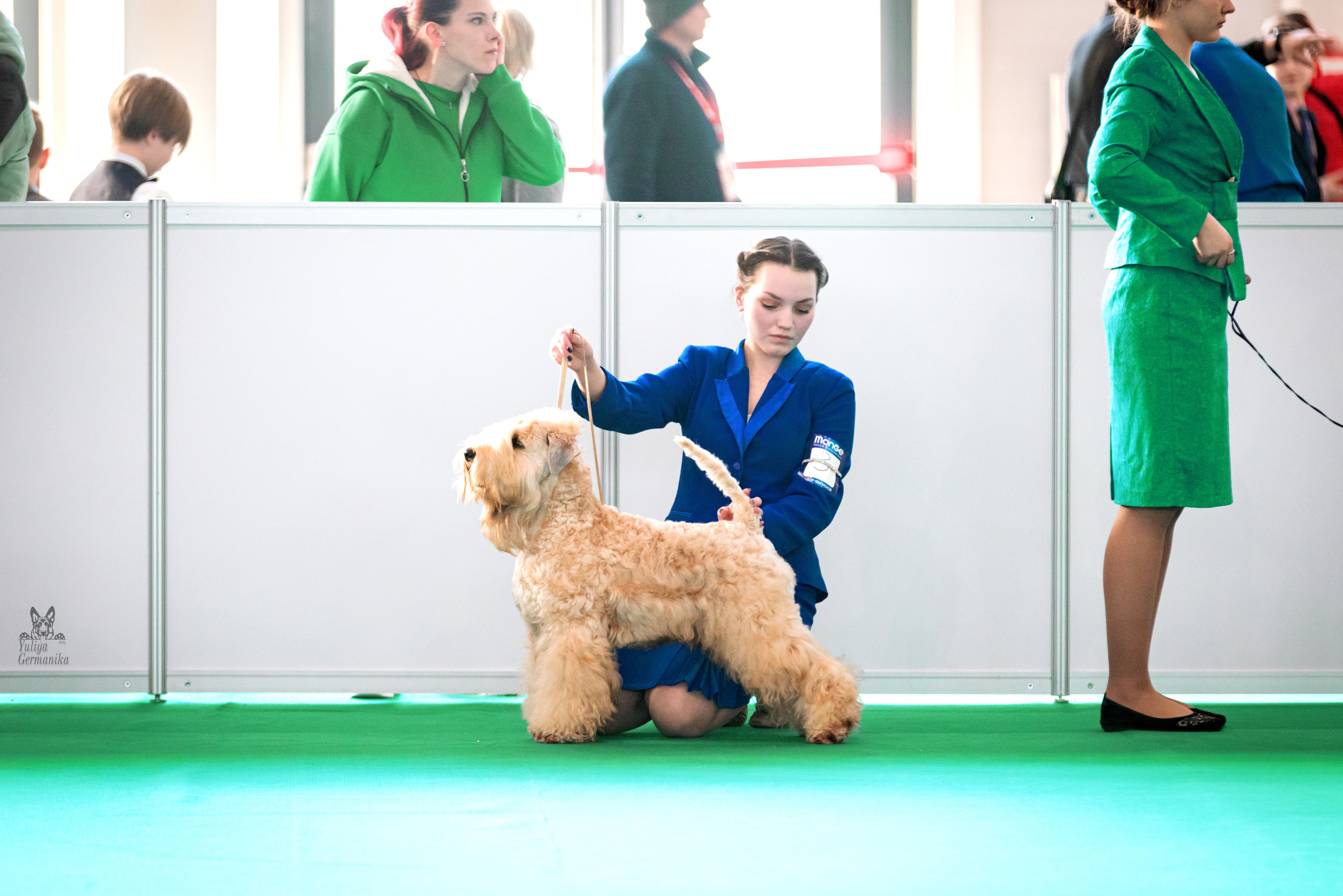 Казань 11.03.2023. Фотограф-анималист Юлия Германика