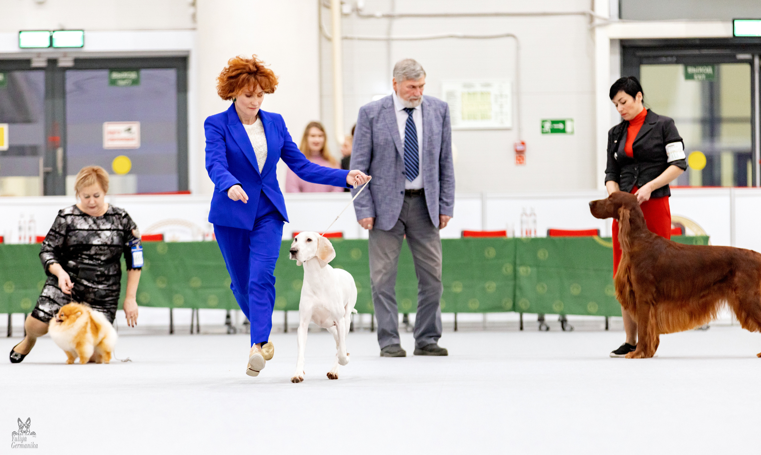 Сабанеевка,Казань 28-29.01.2023. Фотограф-анималист Юлия Германика