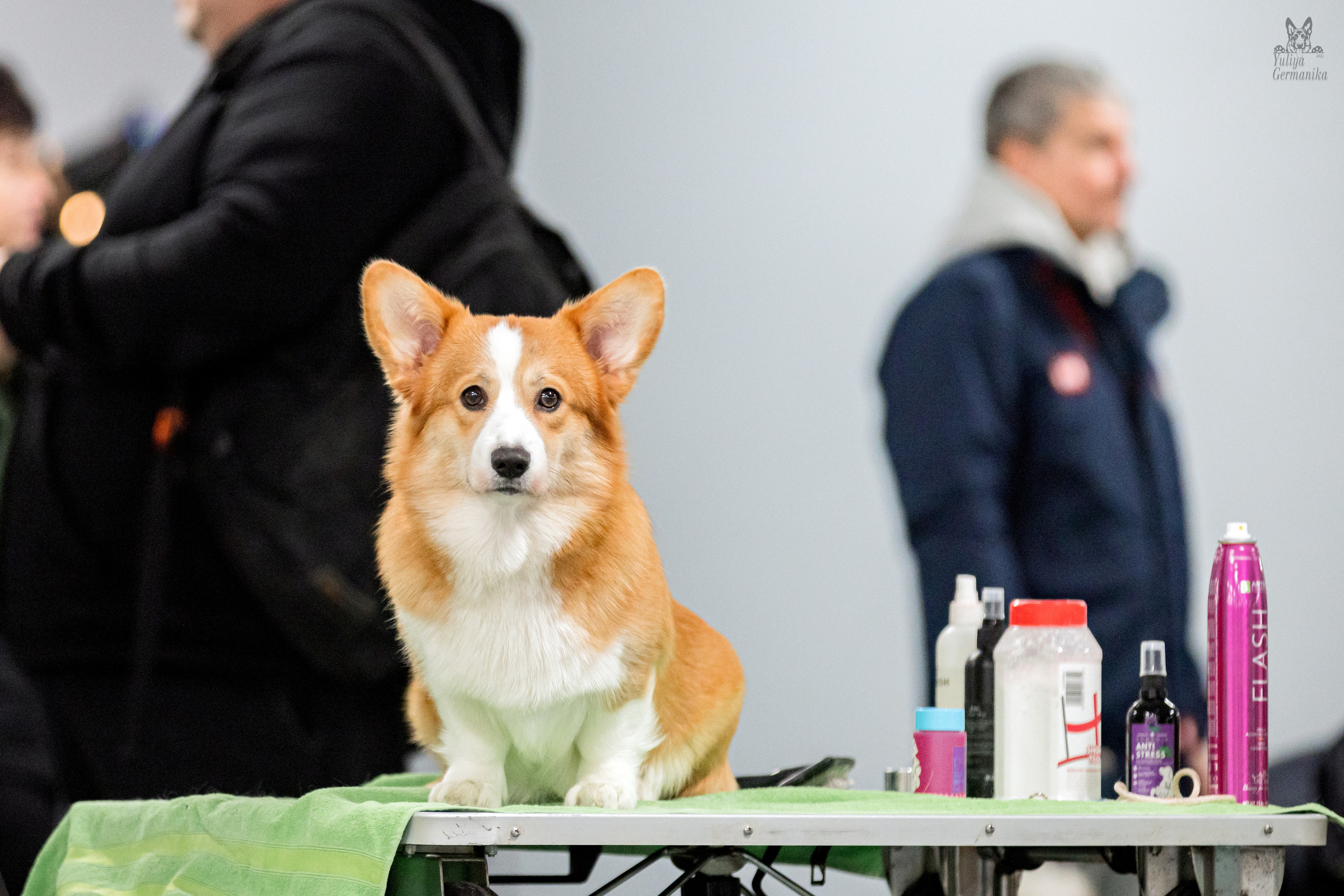 Сфера 23.02.2023