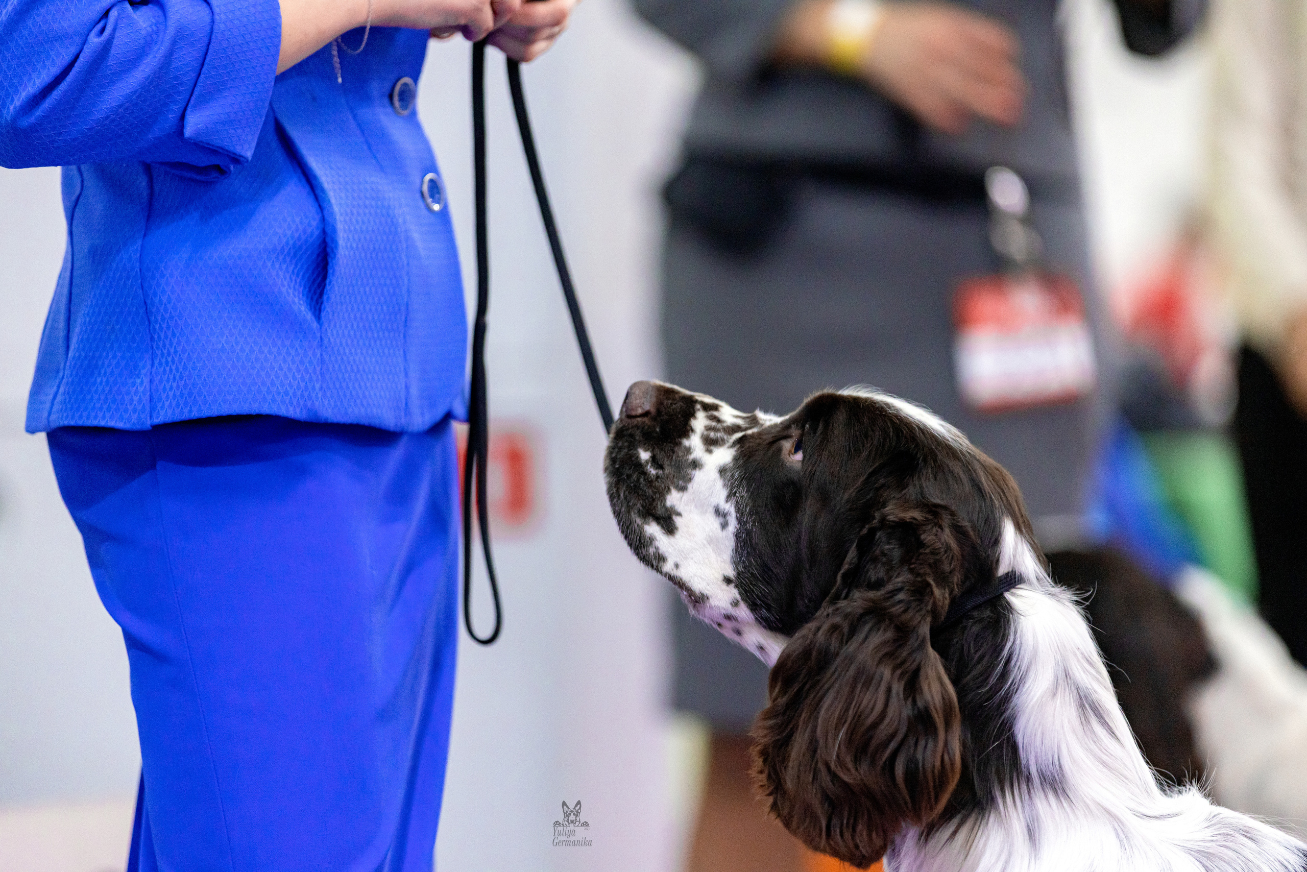 Чайна-Таун 15,21 и 22.01.2023. Фотограф-анималист Юлия Германика