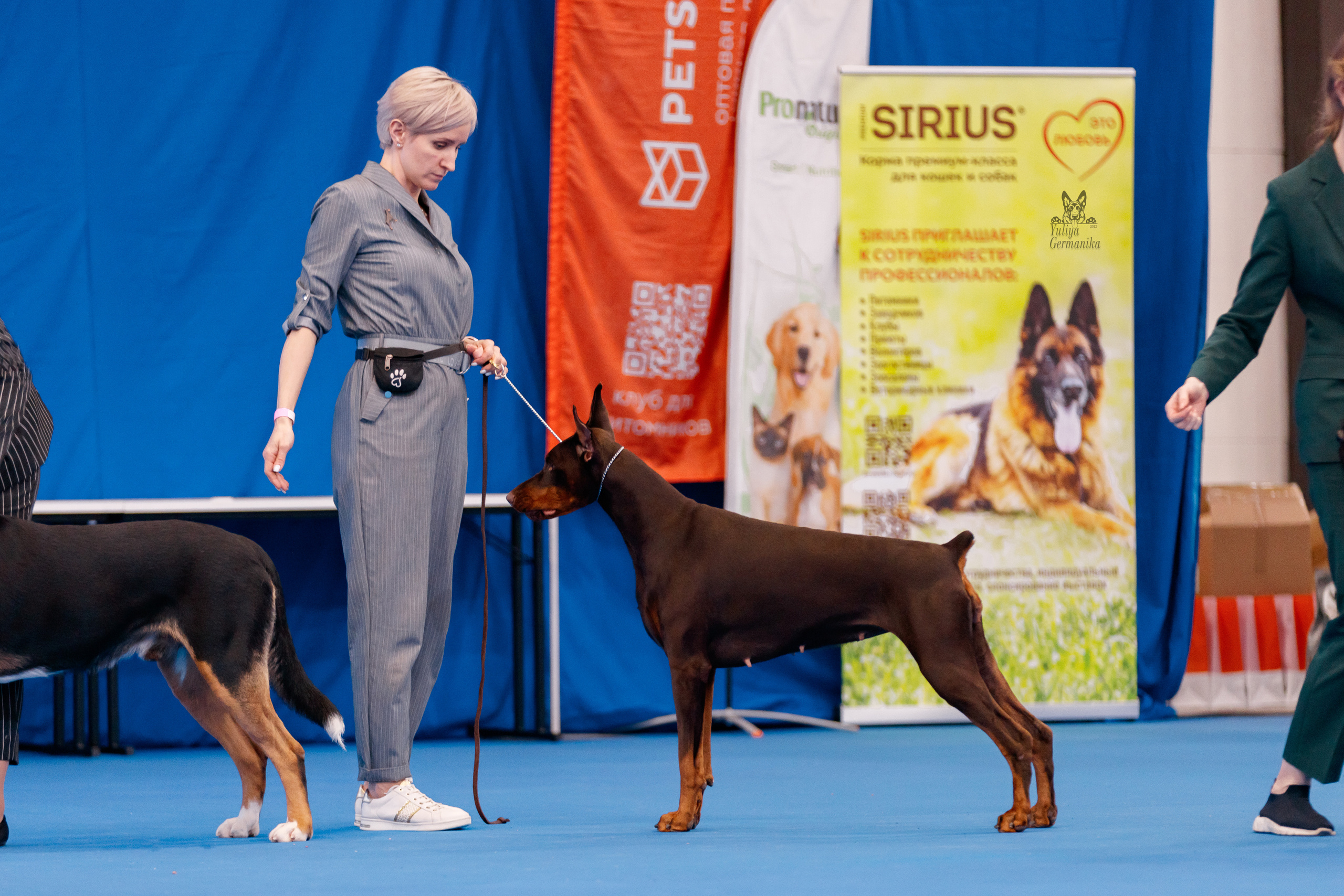 Питер 17-18.12.2022. Фотограф-анималист Юлия Германика