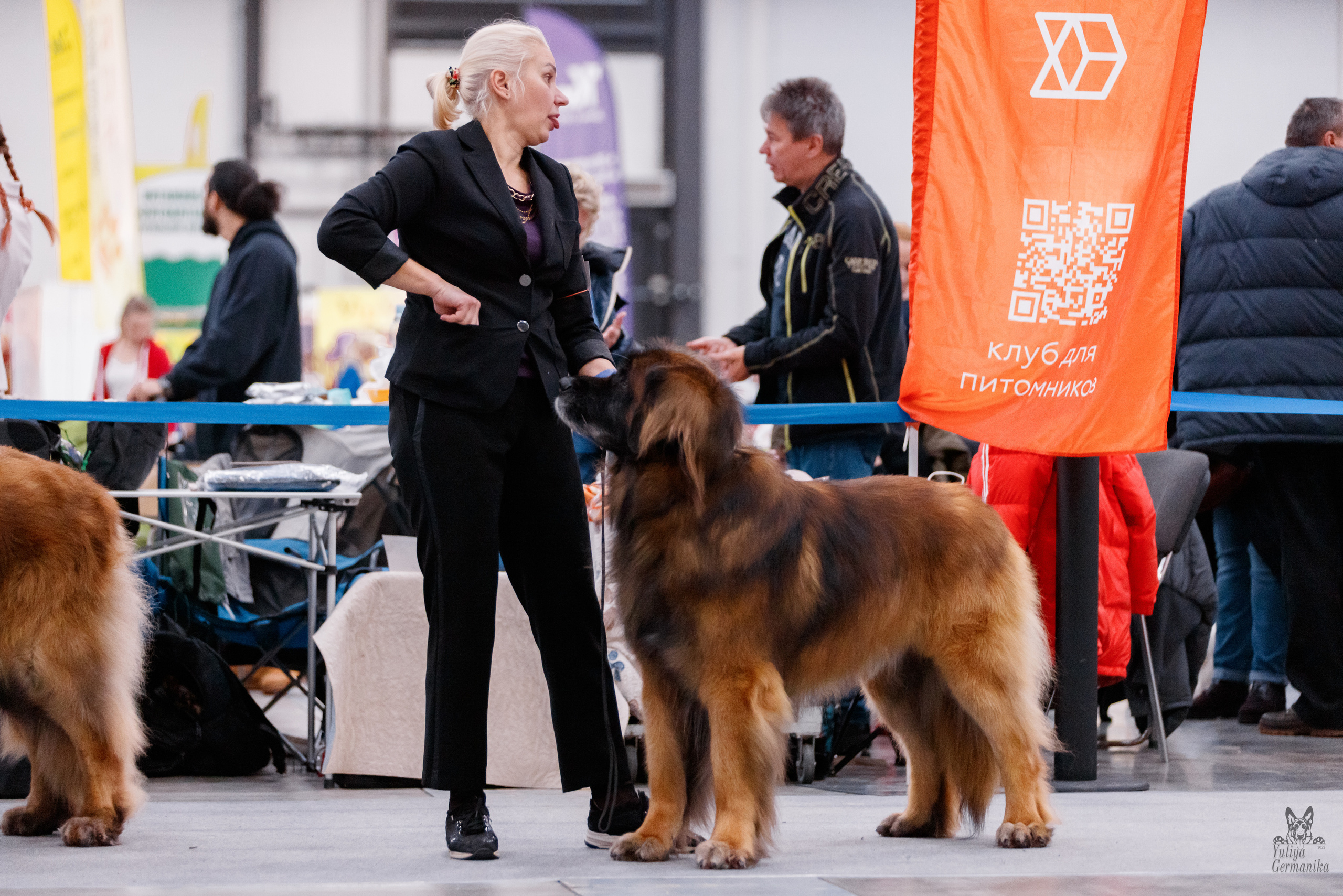 Питер 17-18.12.2022. Фотограф-анималист Юлия Германика