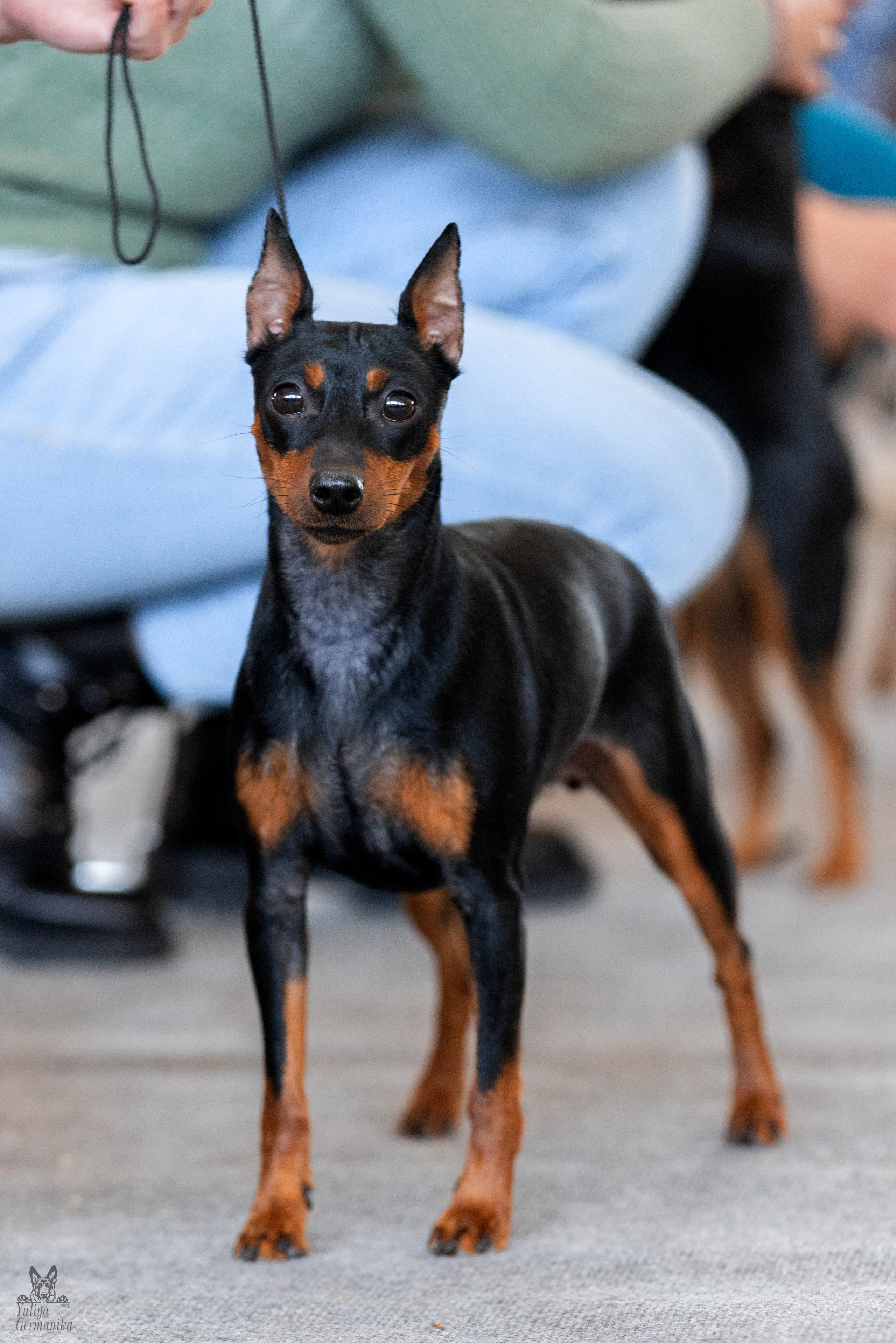 Тверь 19.03.2023. Фотограф-анималист Юлия Германика