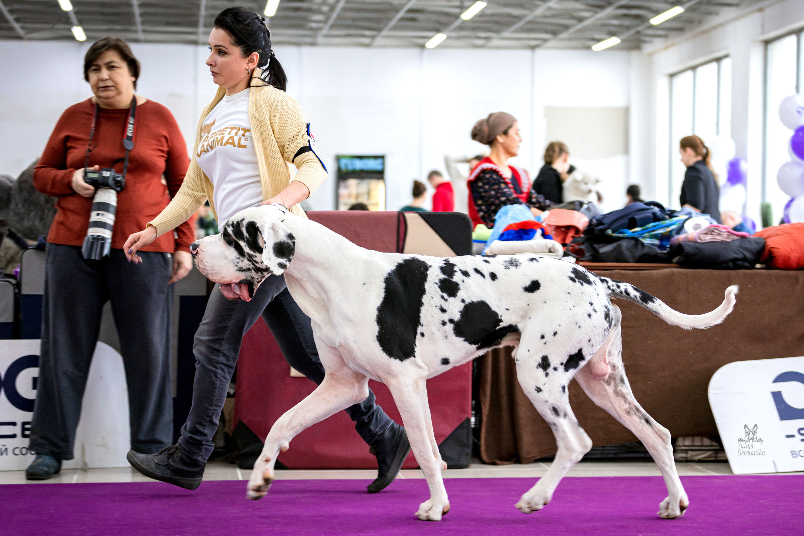 Можайский двор 11-12.02.2023. Фотограф-анималист Юлия Германика