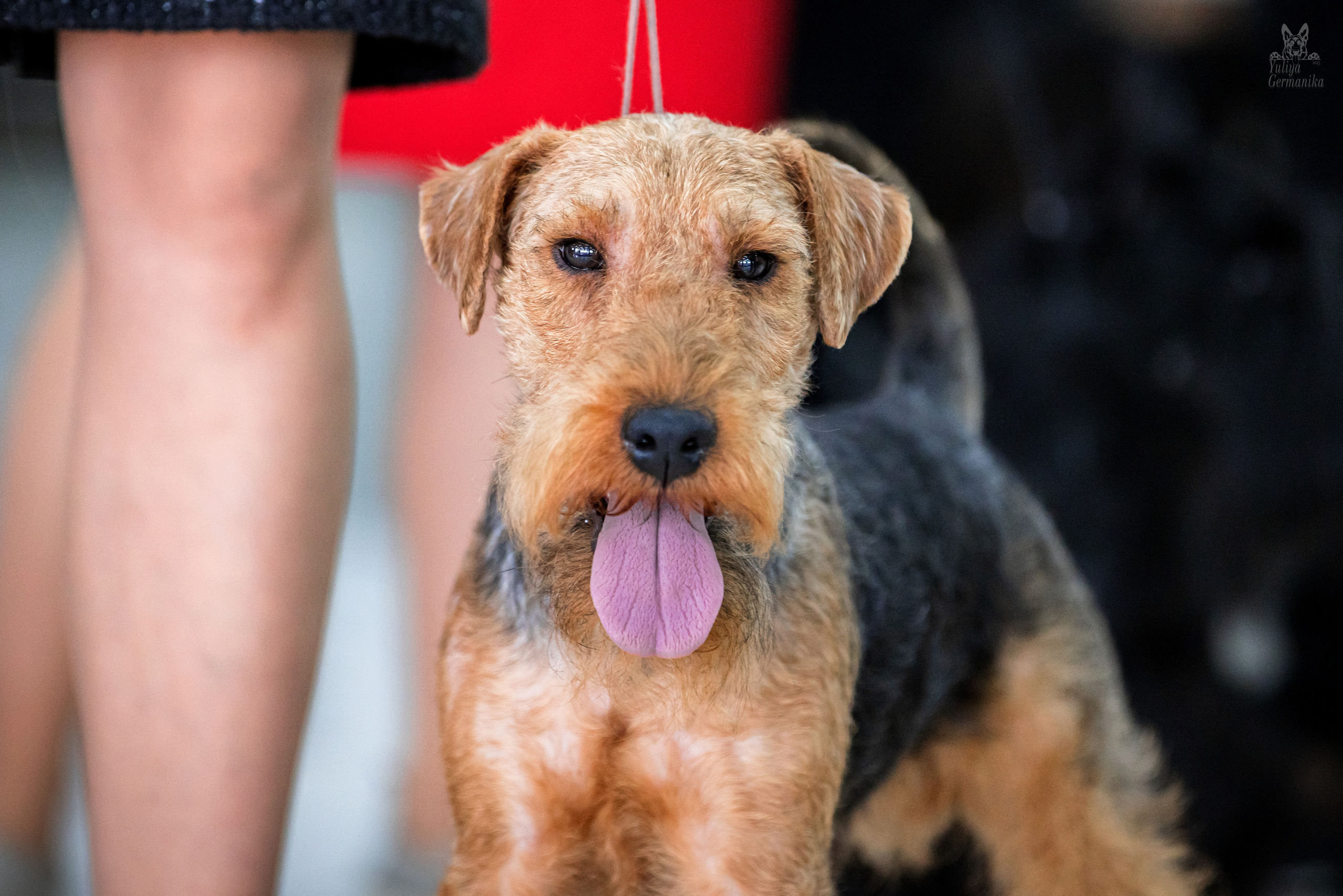 Можайский двор 11-12.02.2023. Фотограф-анималист Юлия Германика