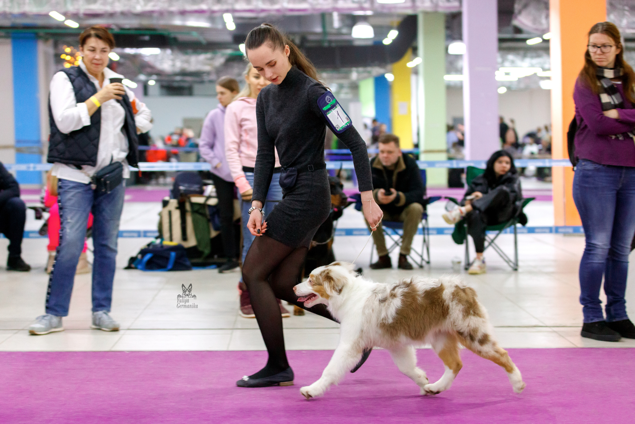 Чайна-Таун 3 и 10.12.2022. Фотограф-анималист Юлия Германика