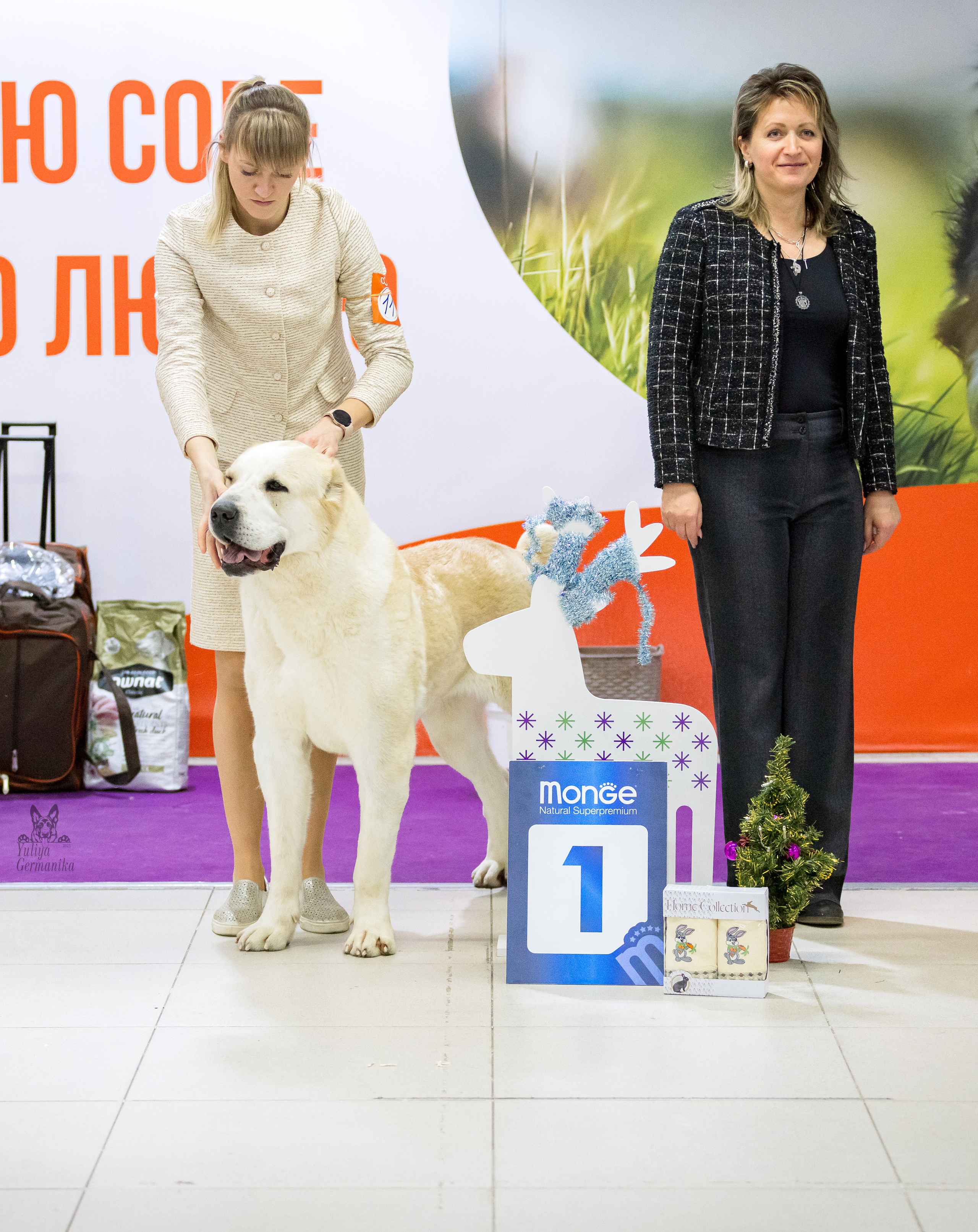 Чайна-Таун 5-8.01.2023. Фотограф-анималист Юлия Германика