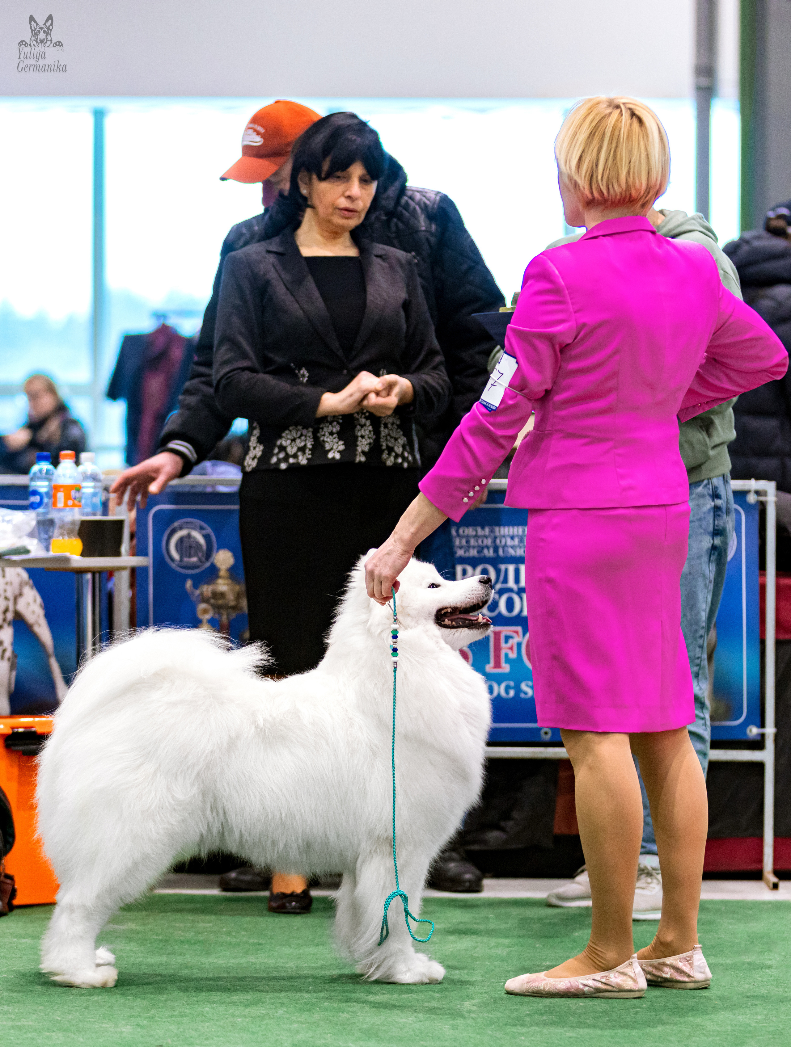 Минск 25-26.02.2023. Фотограф-анималист Юлия Германика