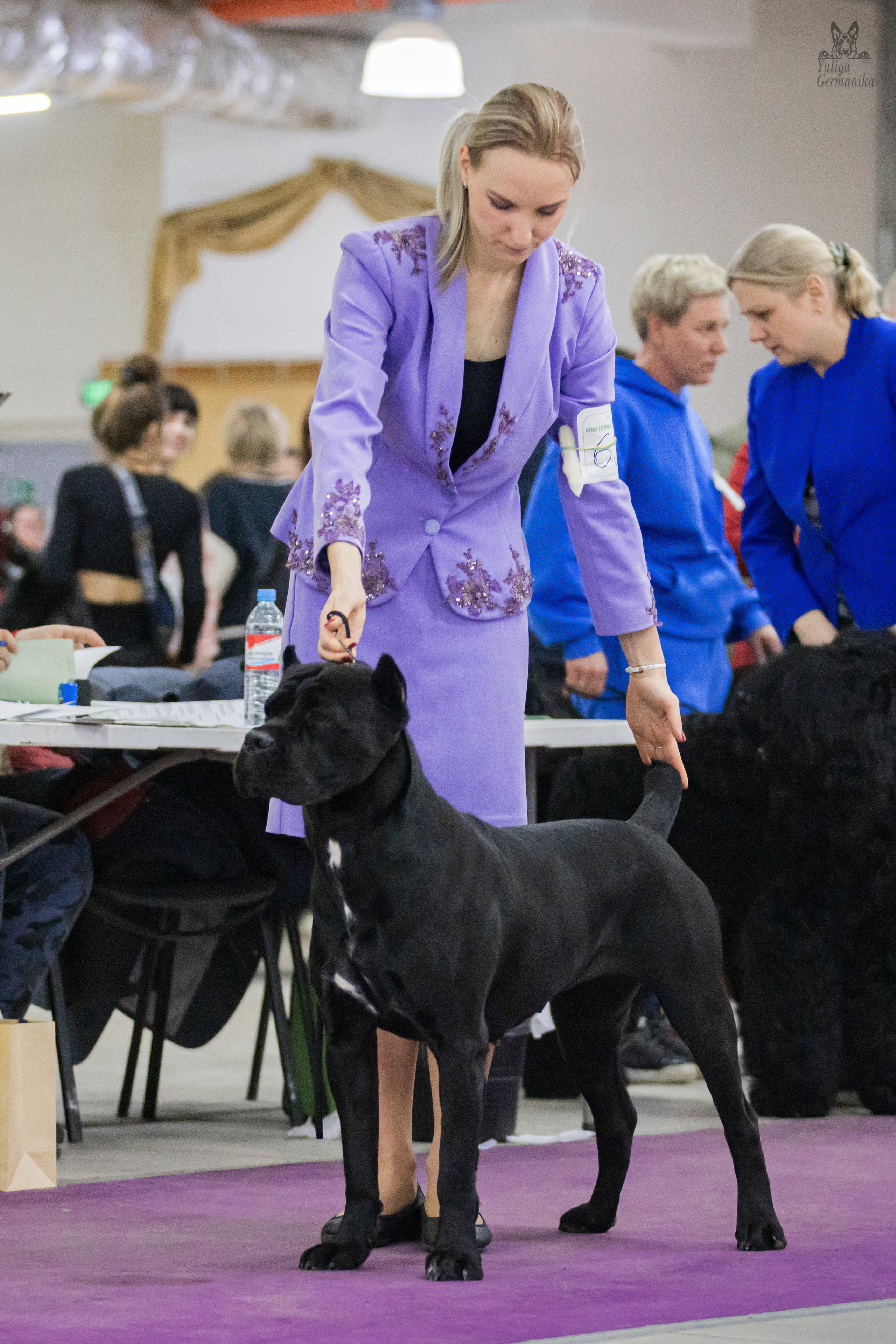 Чайна-Таун 4-5.02.2023. Фотограф-анималист Юлия Германика