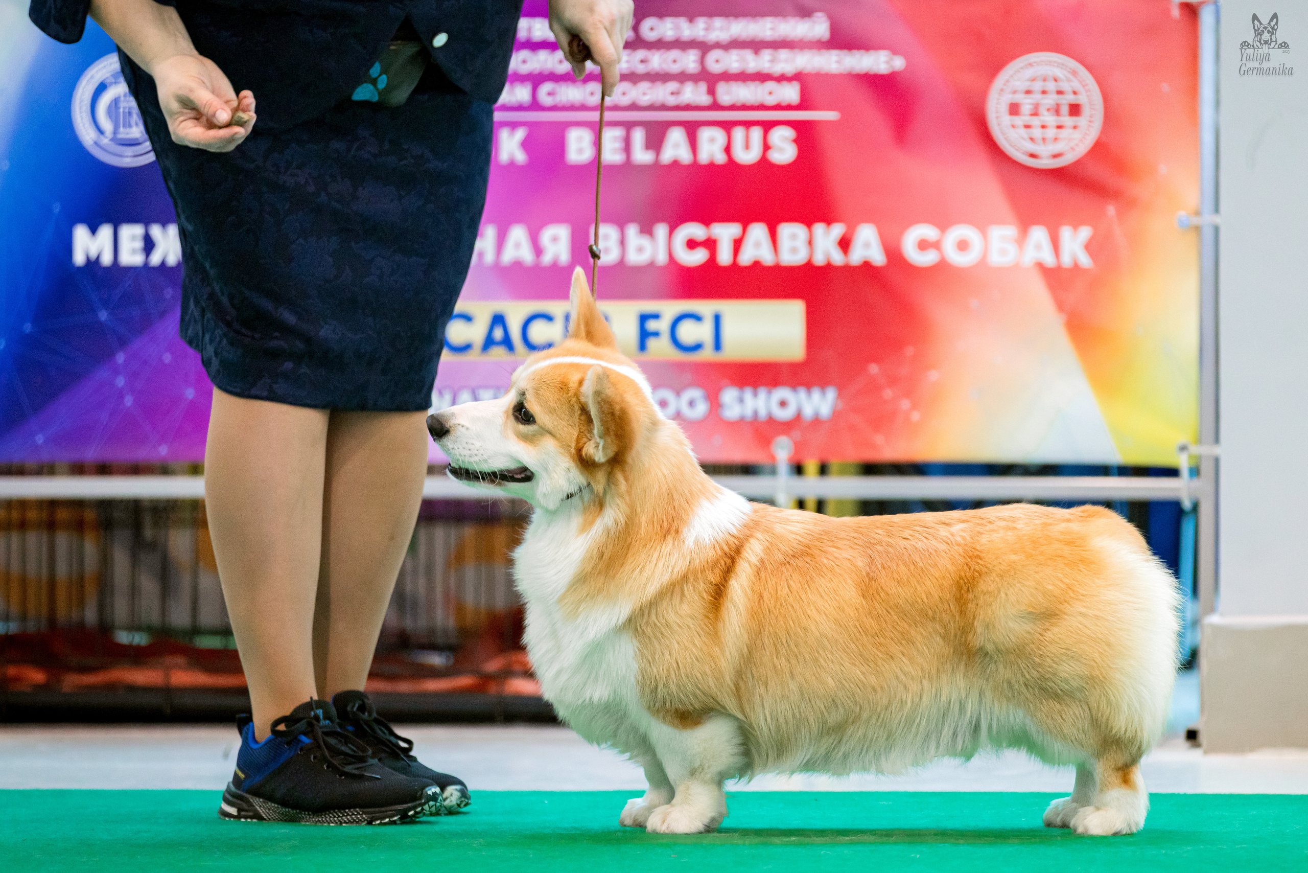 Минск 25-26.02.2023. Фотограф-анималист Юлия Германика