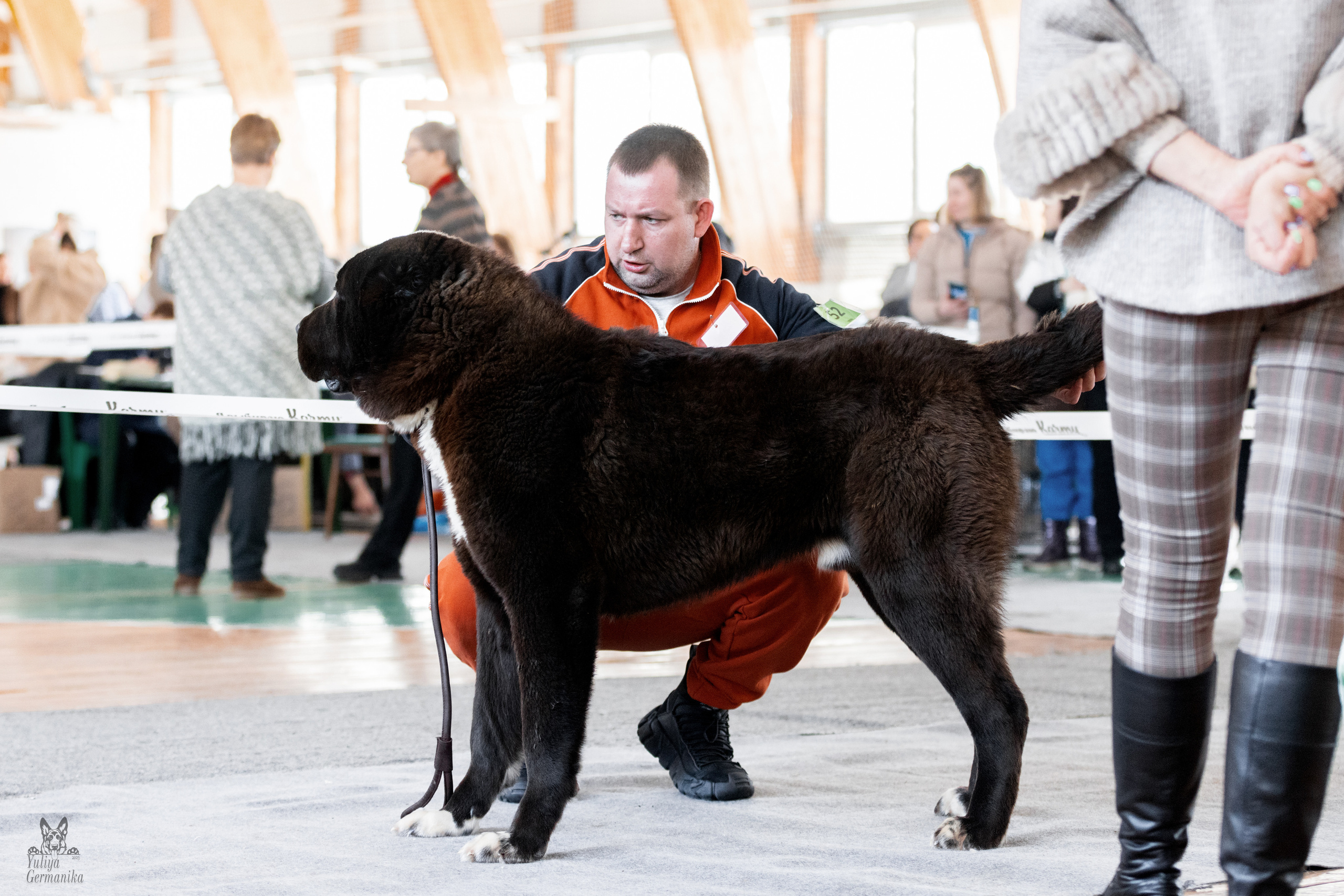 Тверь 19.03.2023. Фотограф-анималист Юлия Германика