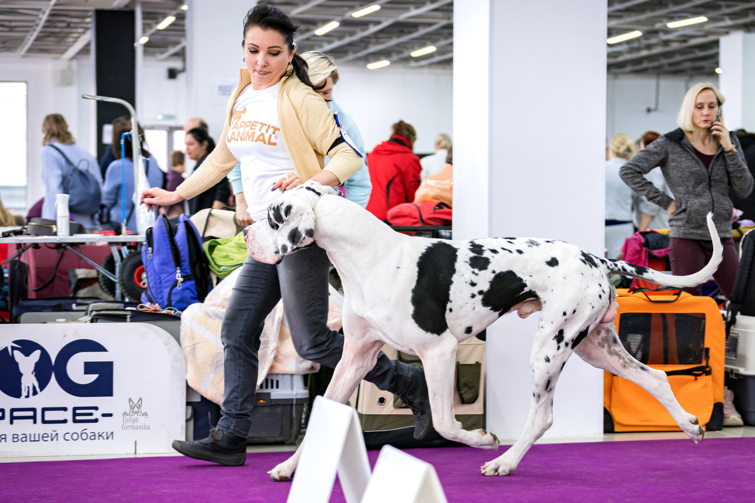 Можайский двор 11-12.02.2023. Фотограф-анималист Юлия Германика