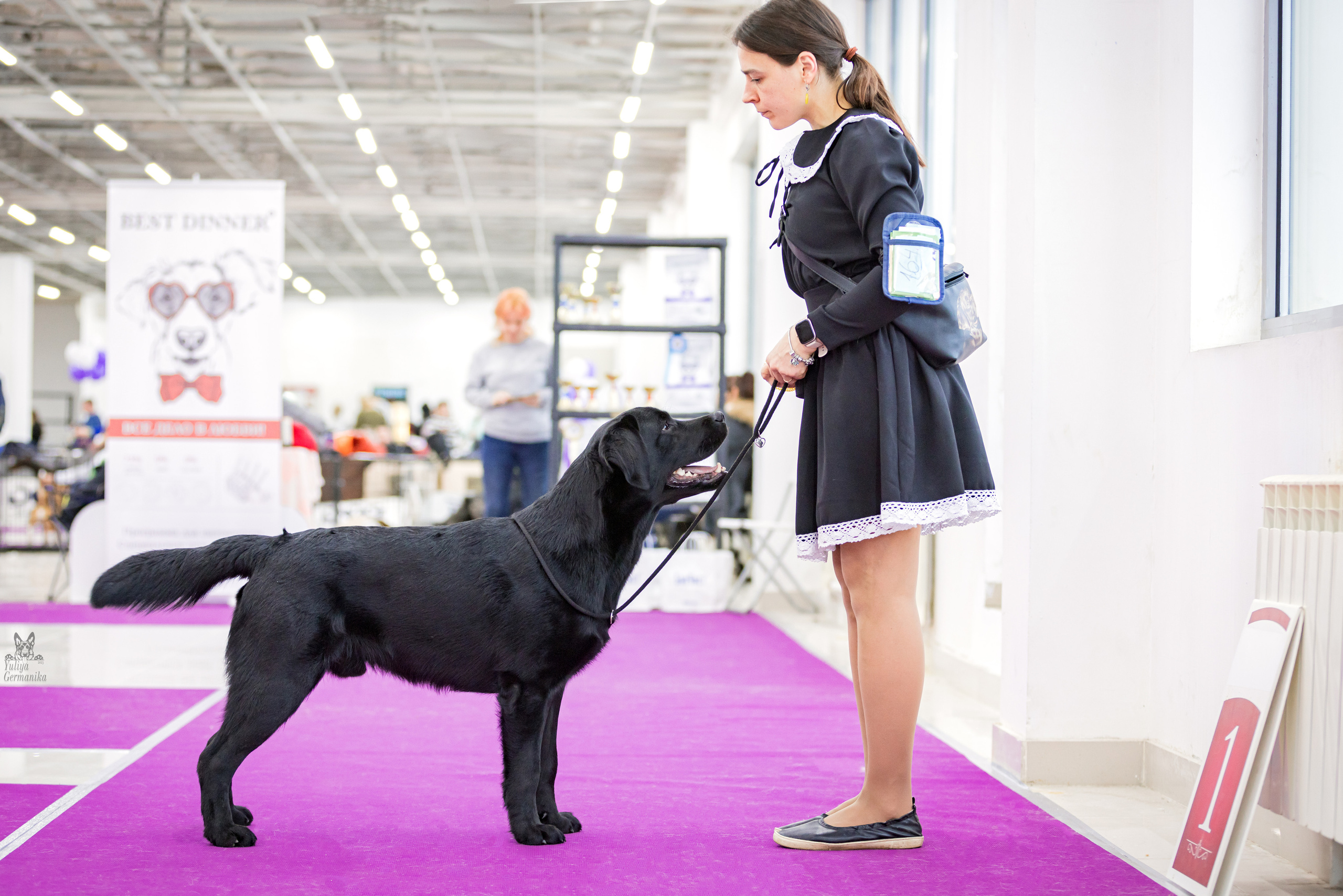 Можайский двор 11-12.02.2023. Фотограф-анималист Юлия Германика