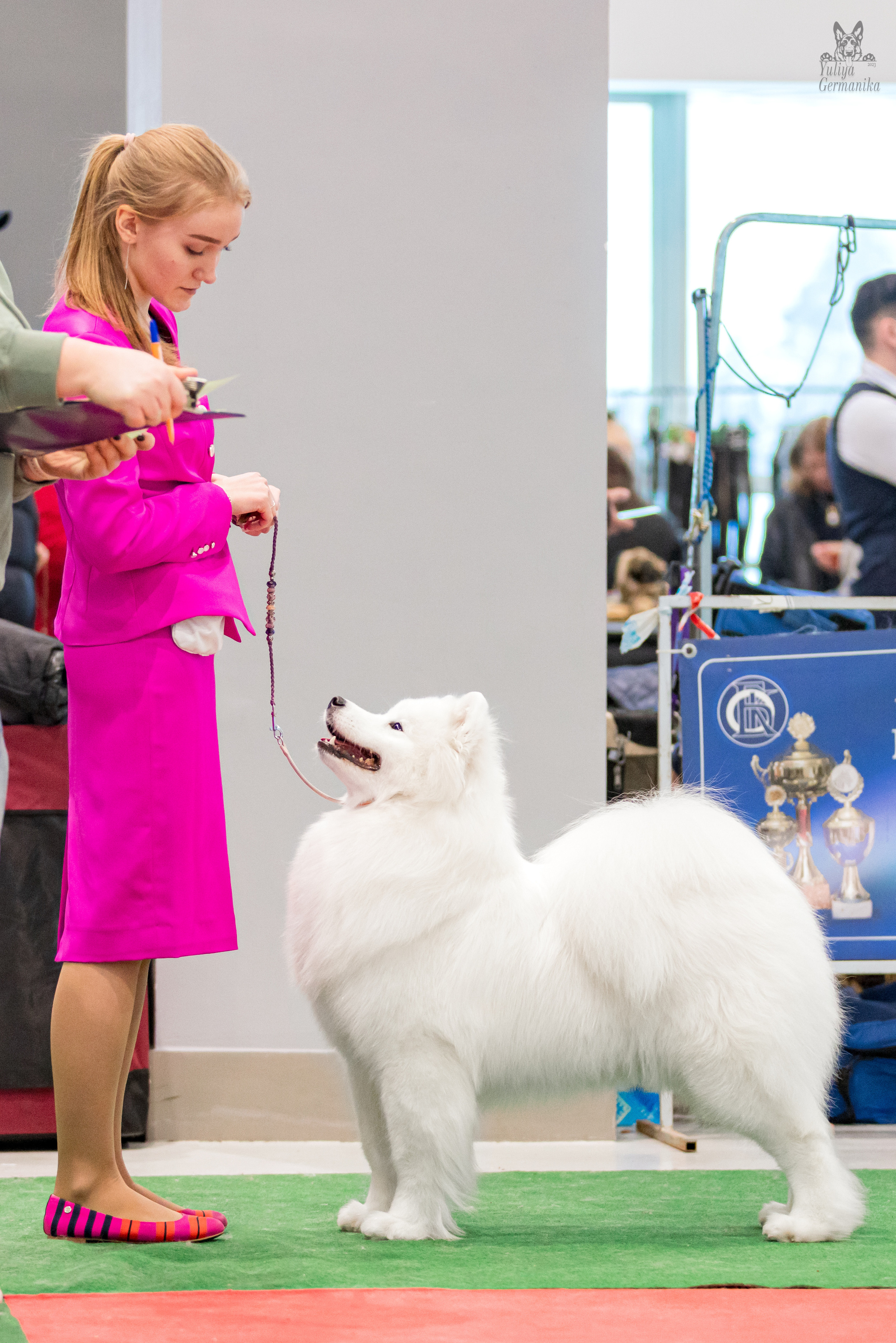 Минск 25-26.02.2023. Фотограф-анималист Юлия Германика