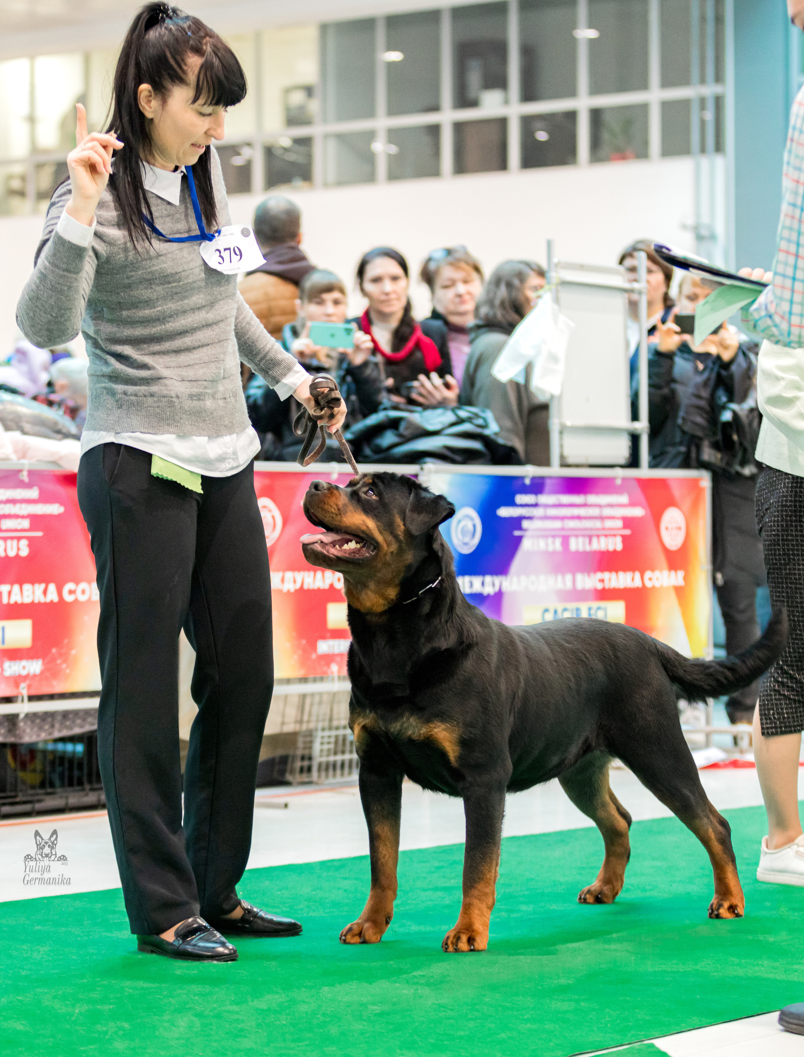 Минск 25-26.02.2023. Фотограф-анималист Юлия Германика