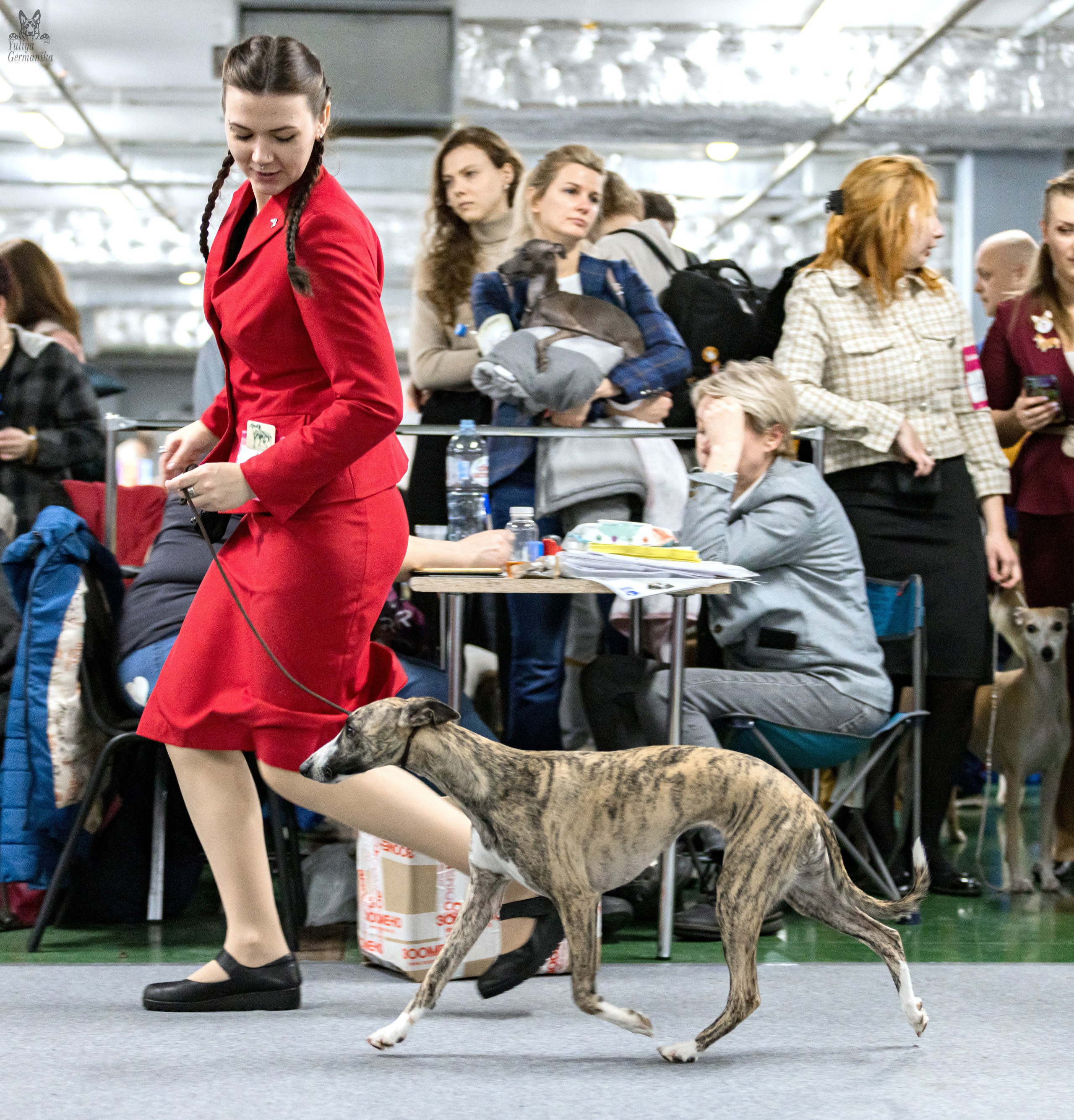 Сфера 5.03.2023. Фотограф-анималист Юлия Германика